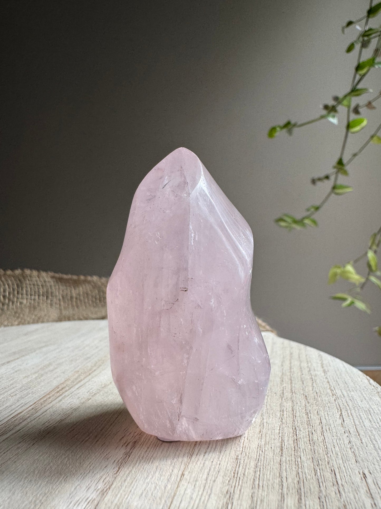 Quartz Rose | Flamme