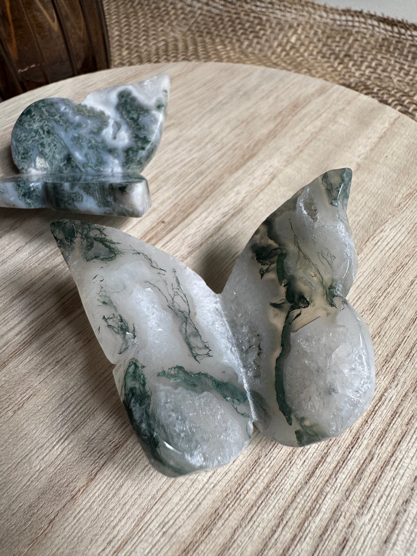 Agate Mousse | Papillon