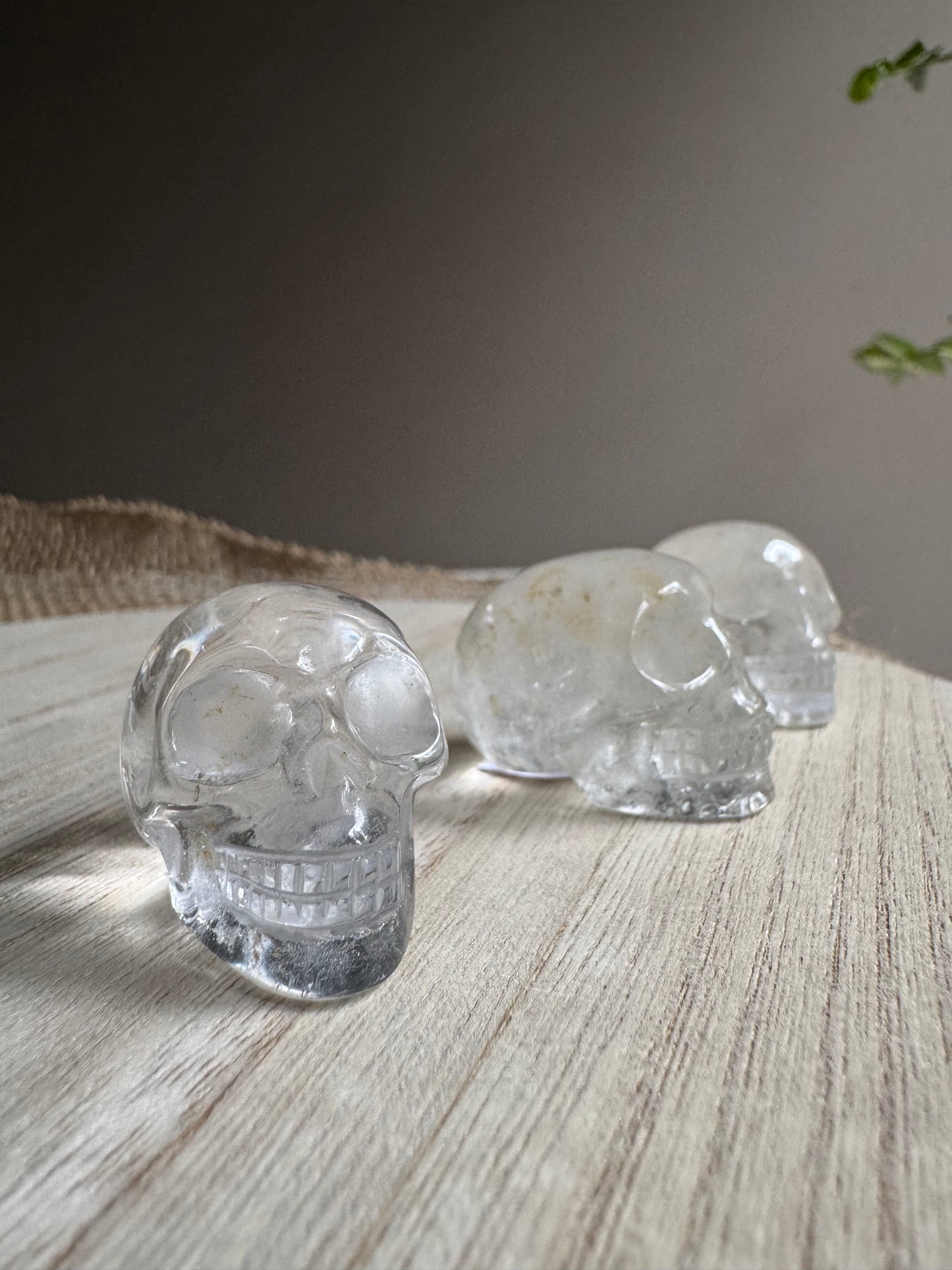 Quartz | Crâne