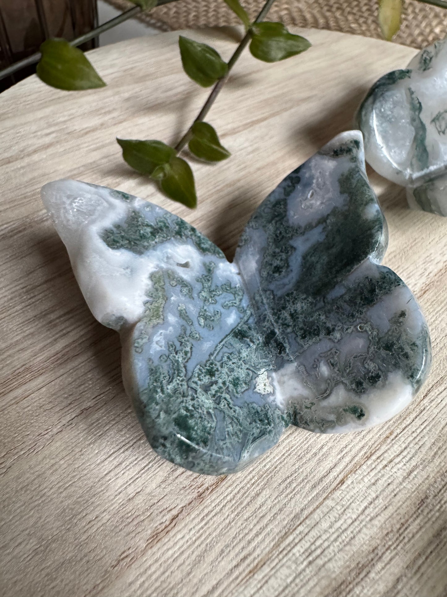 Agate Mousse | Papillon