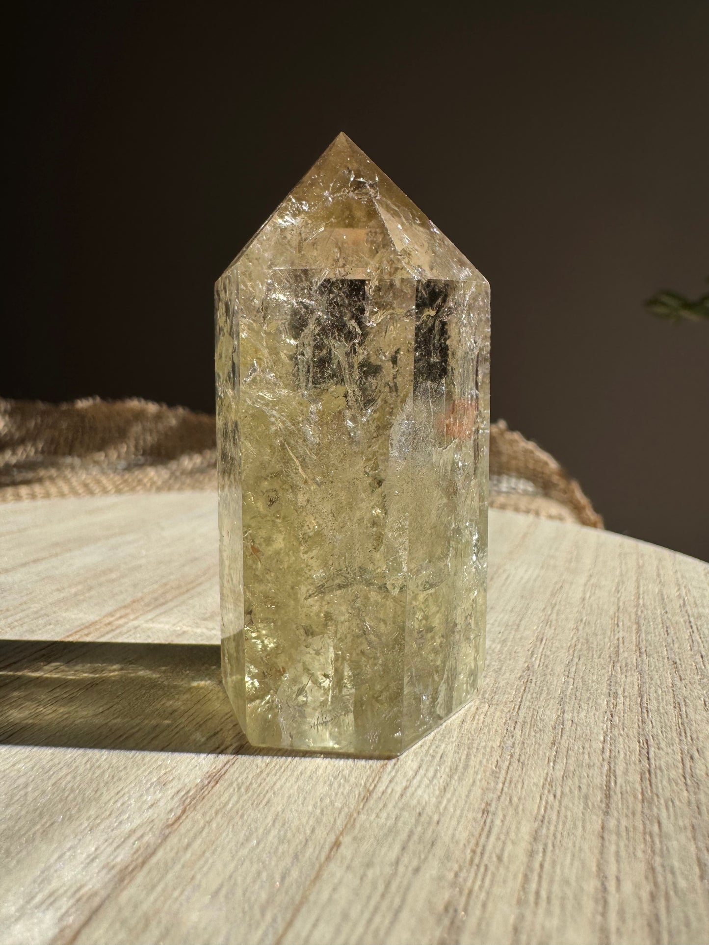 Citrine | Tour