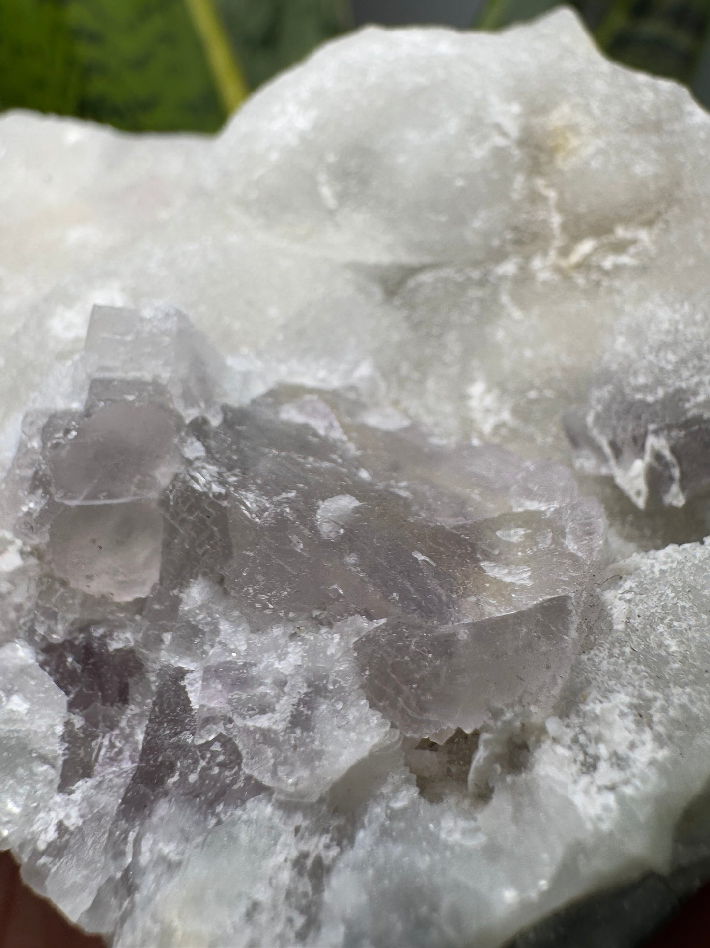 Fluorite | Spécimen