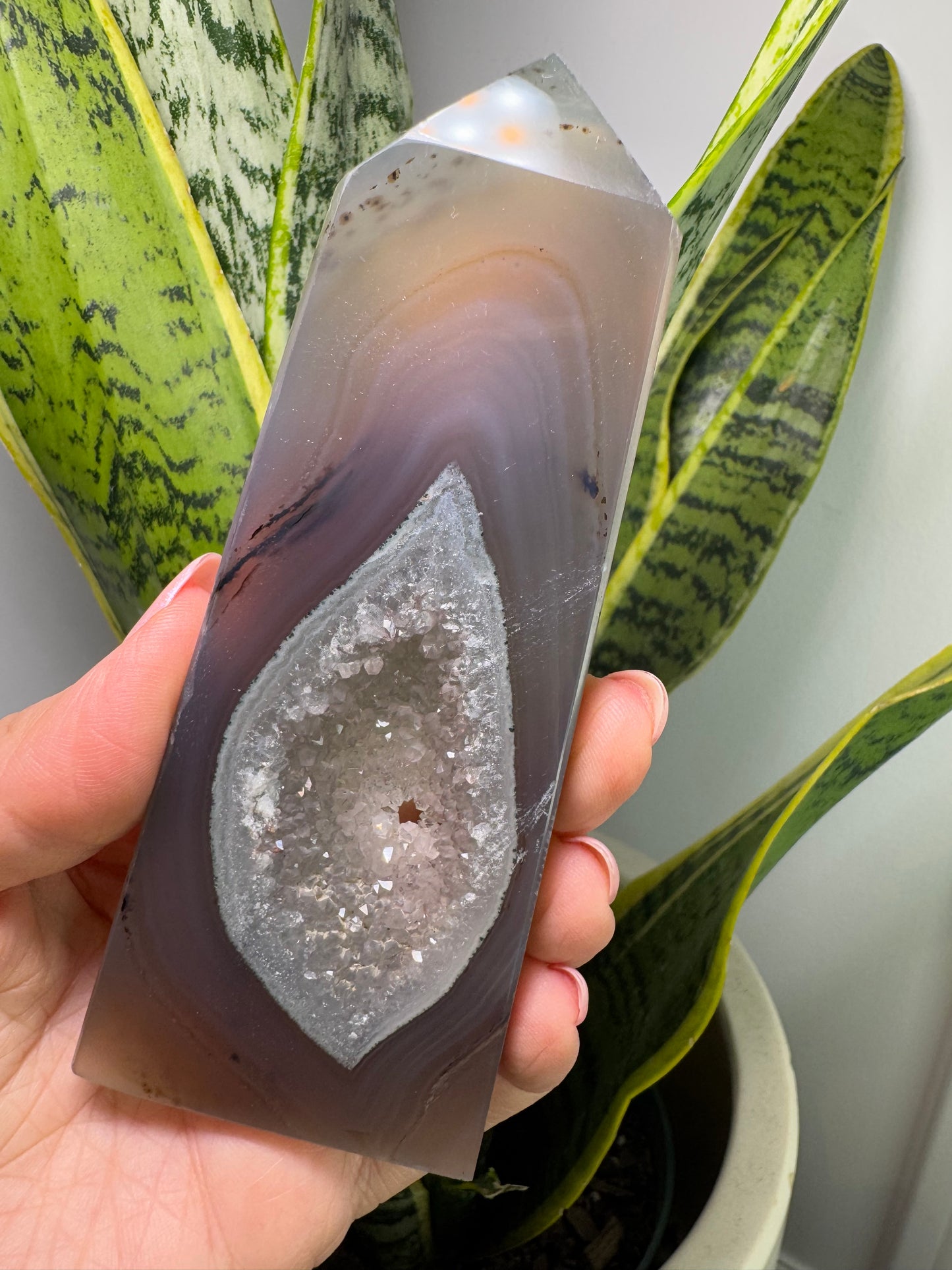 Agate druzy | Tour plate