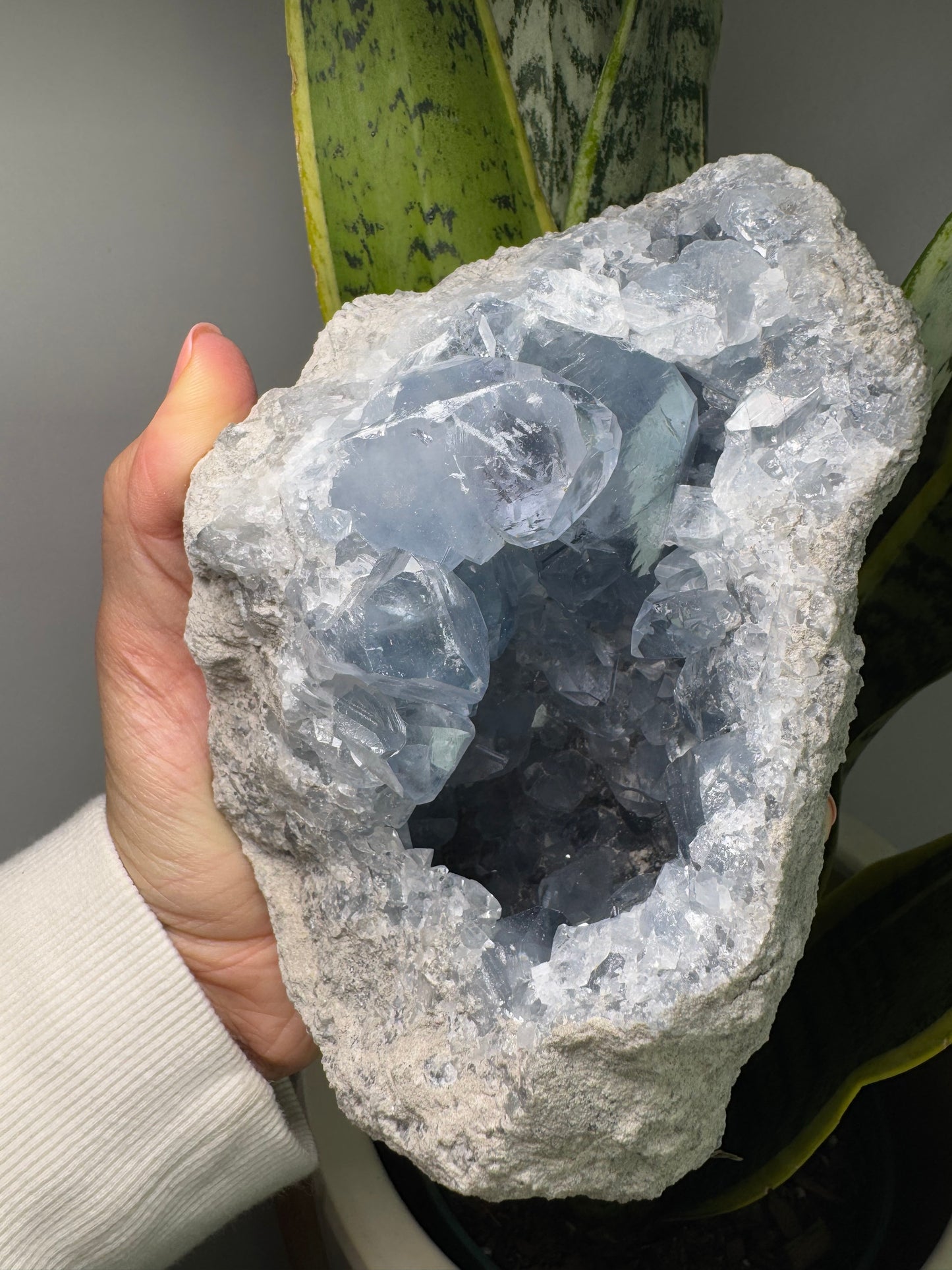 Célestite | Géode
