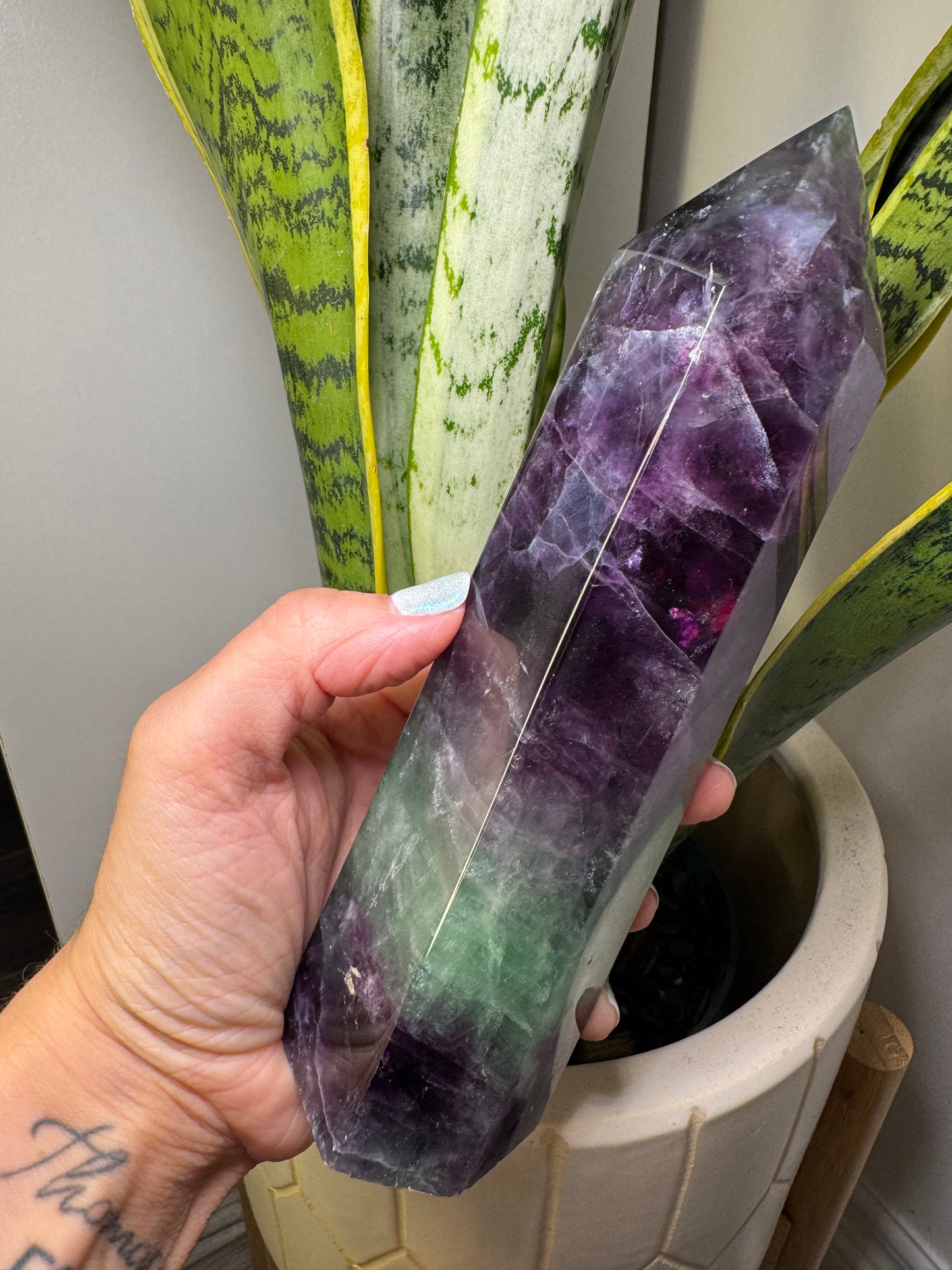 Fluorite | Tour