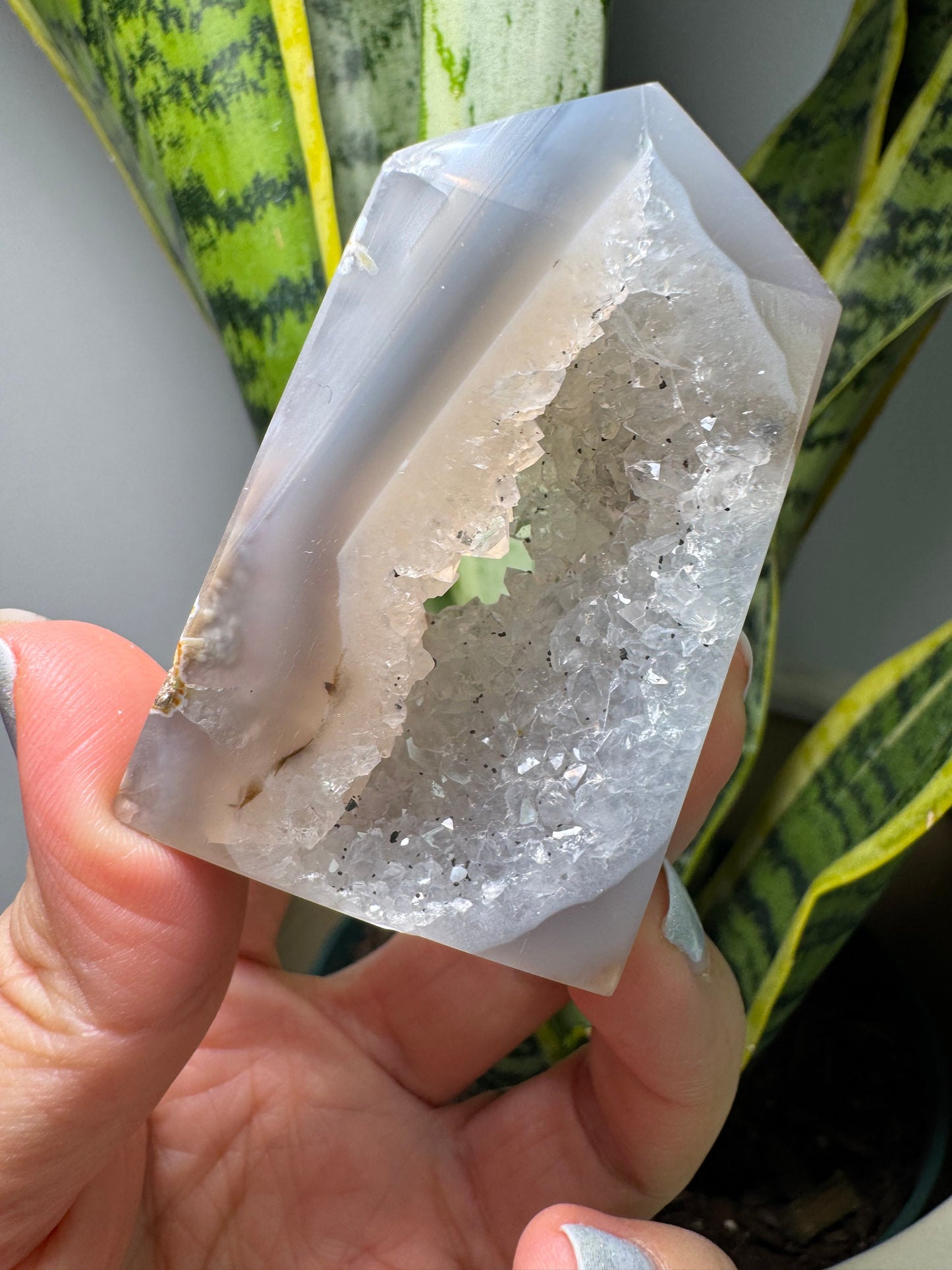 Agate druzy | Tour plate