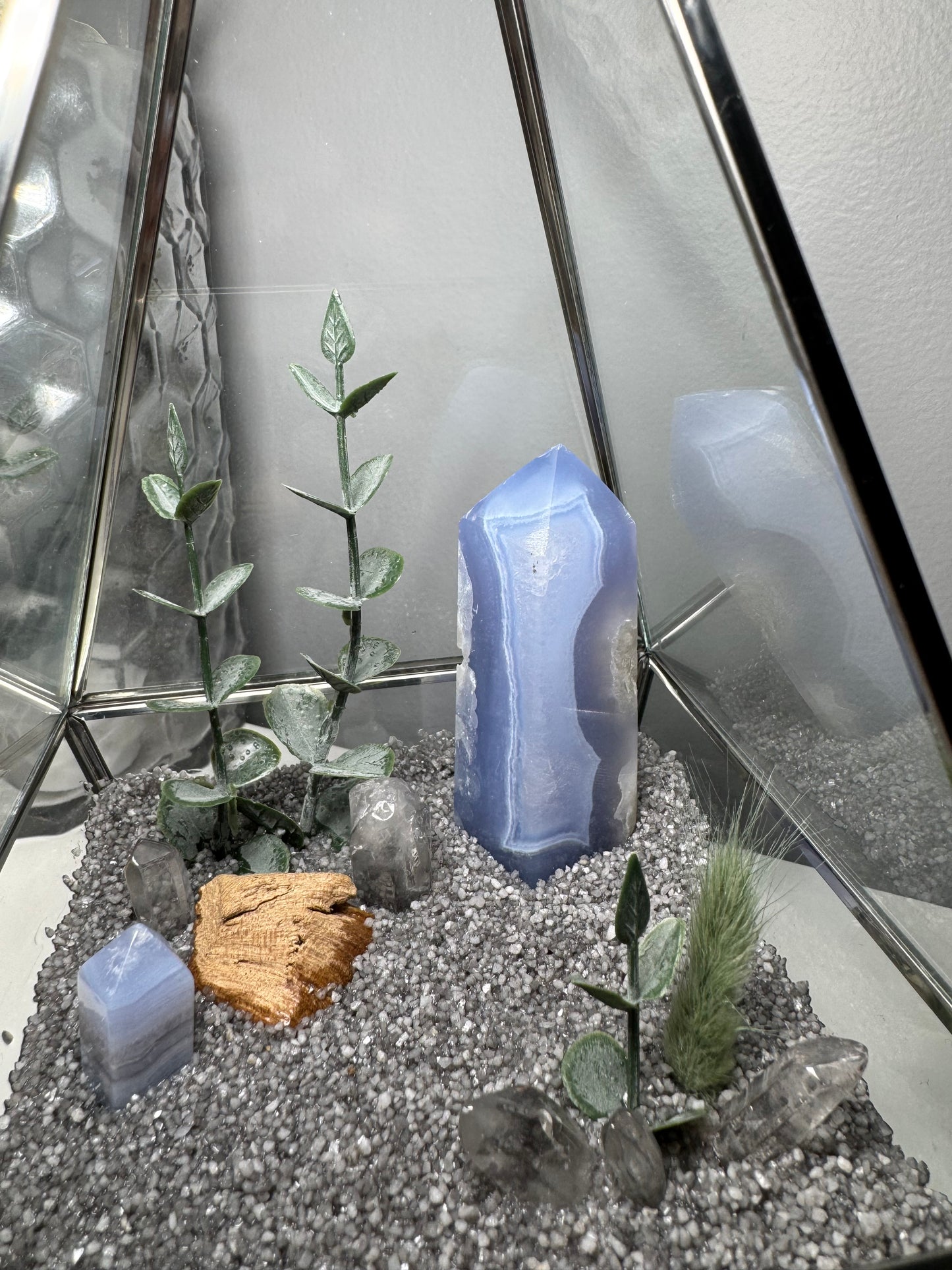 Serenity | Terrarium