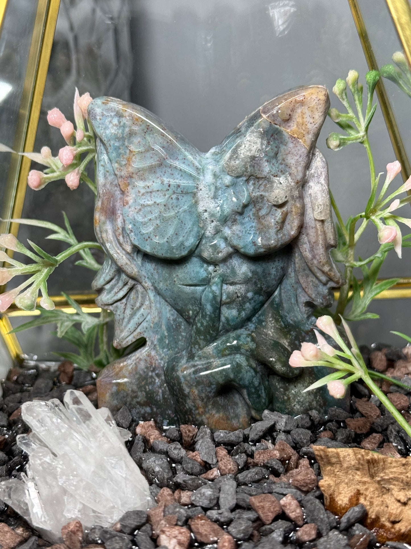 Silent Butterfly | Terrarium