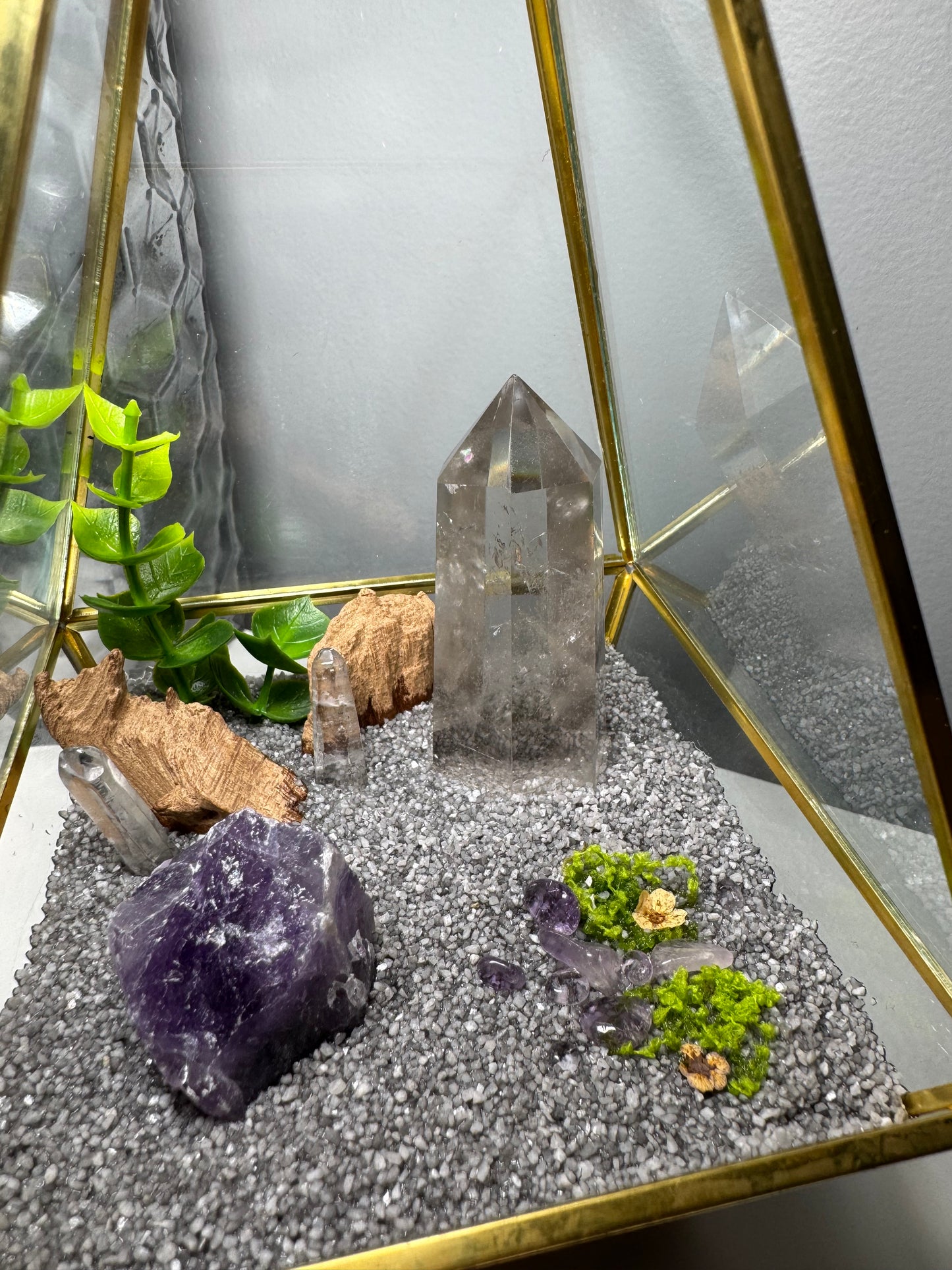 Forêt de quartz | Terrarium