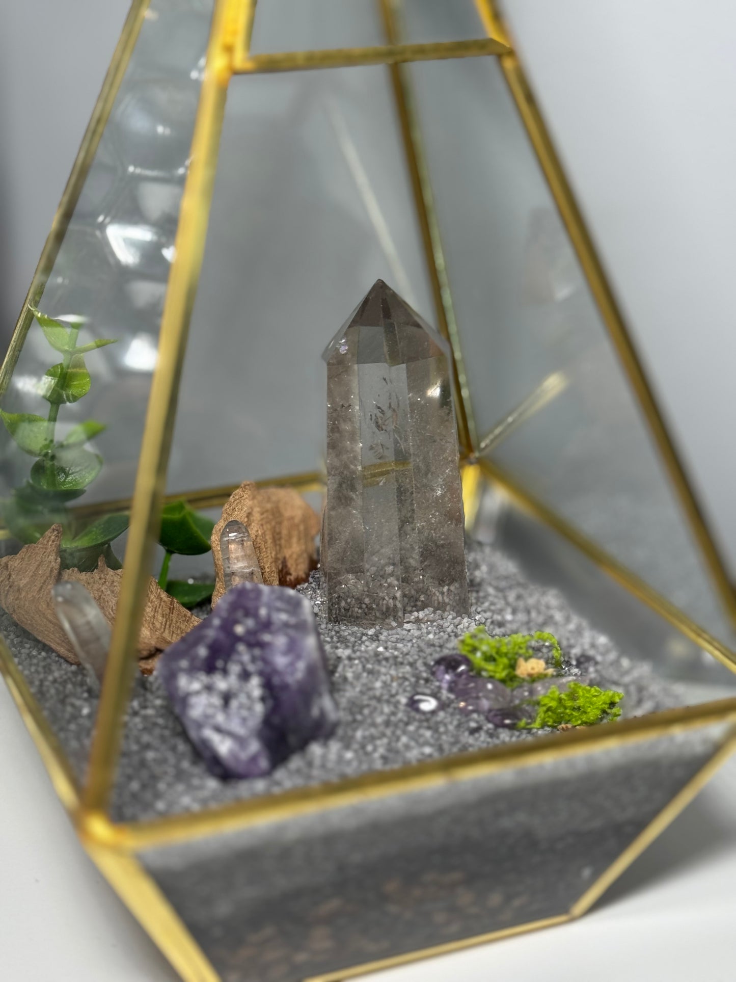 Forêt de quartz | Terrarium