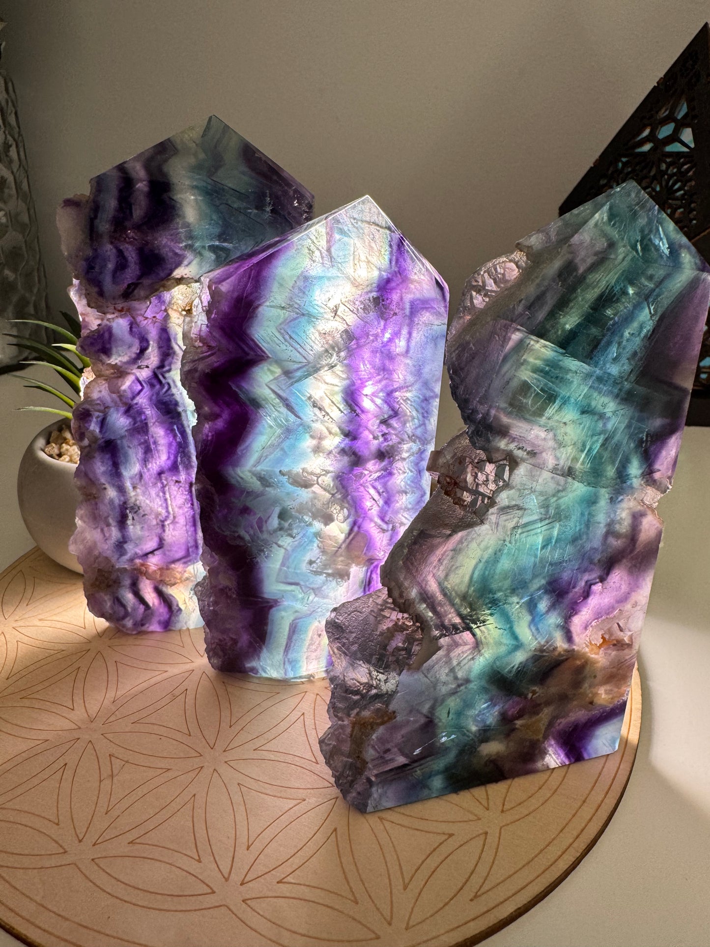 Fluorite Arc-en-ciel Druzy | Tour plate