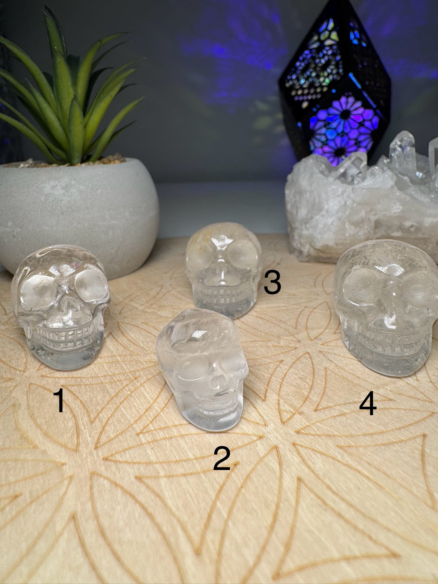 Quartz | Crâne