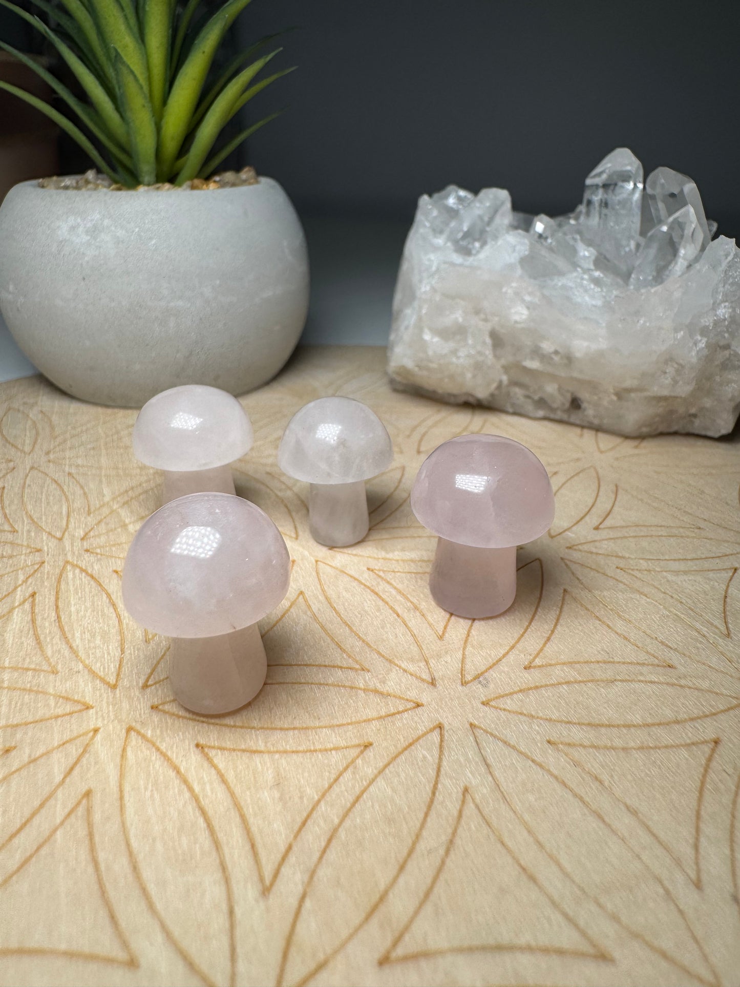 Quartz Rose | Mini Champignon