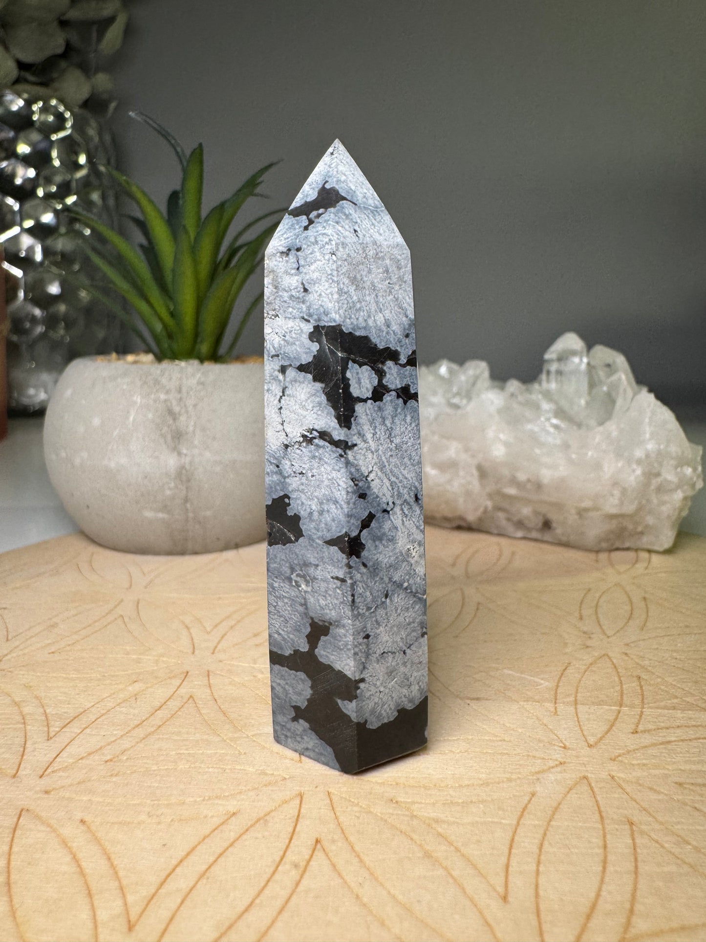 Obsidienne Neige | Tour
