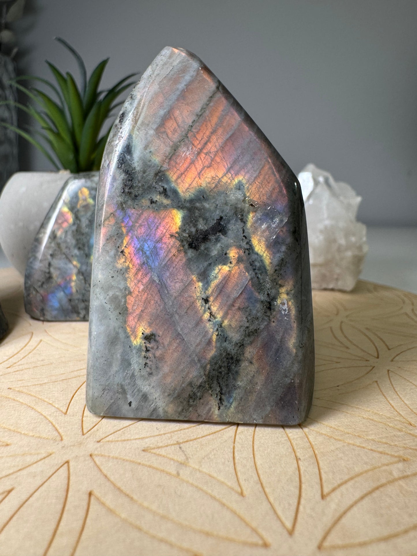 Labradorite mauve | Freeform