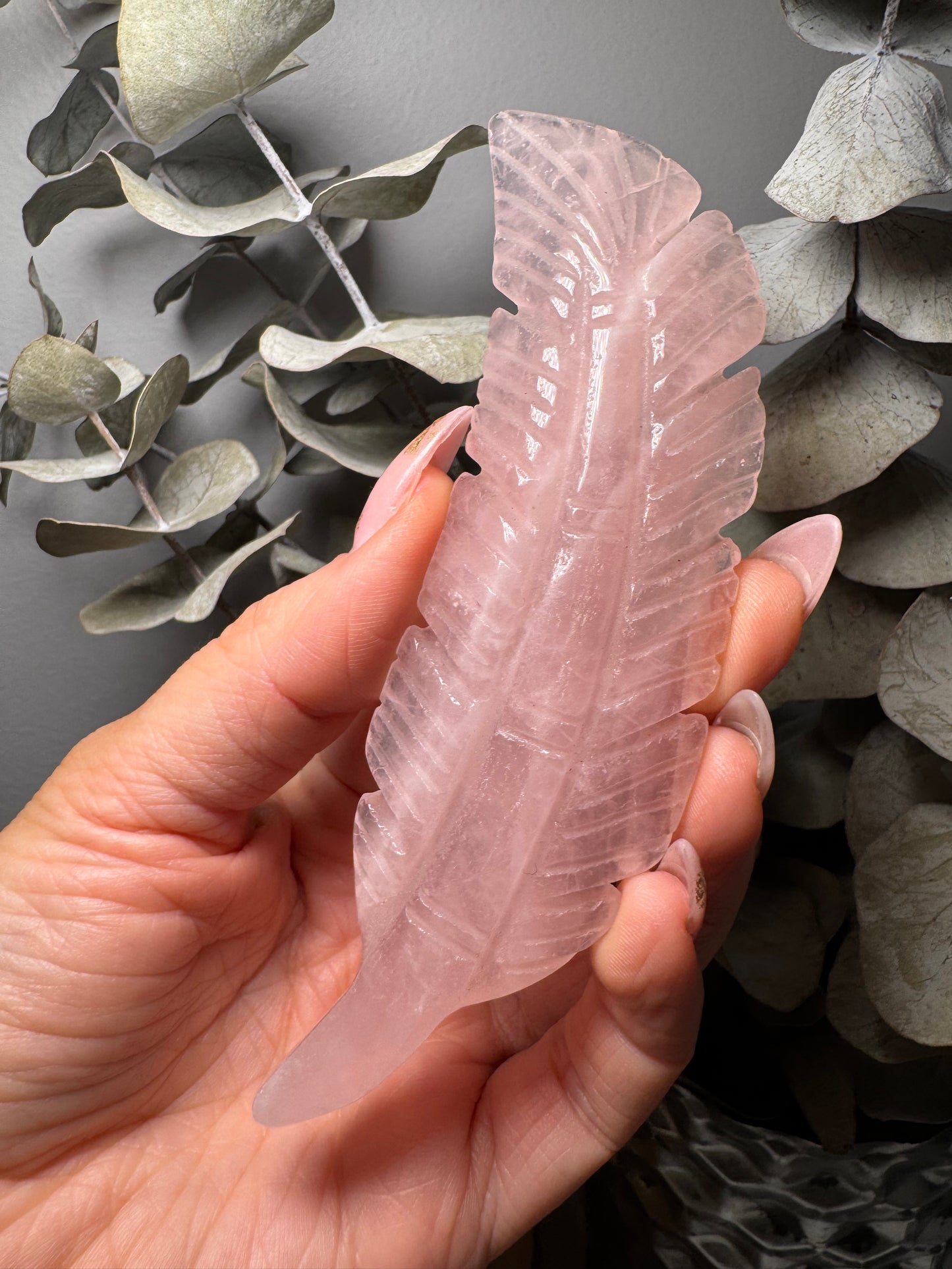 Quartz rose | Plume