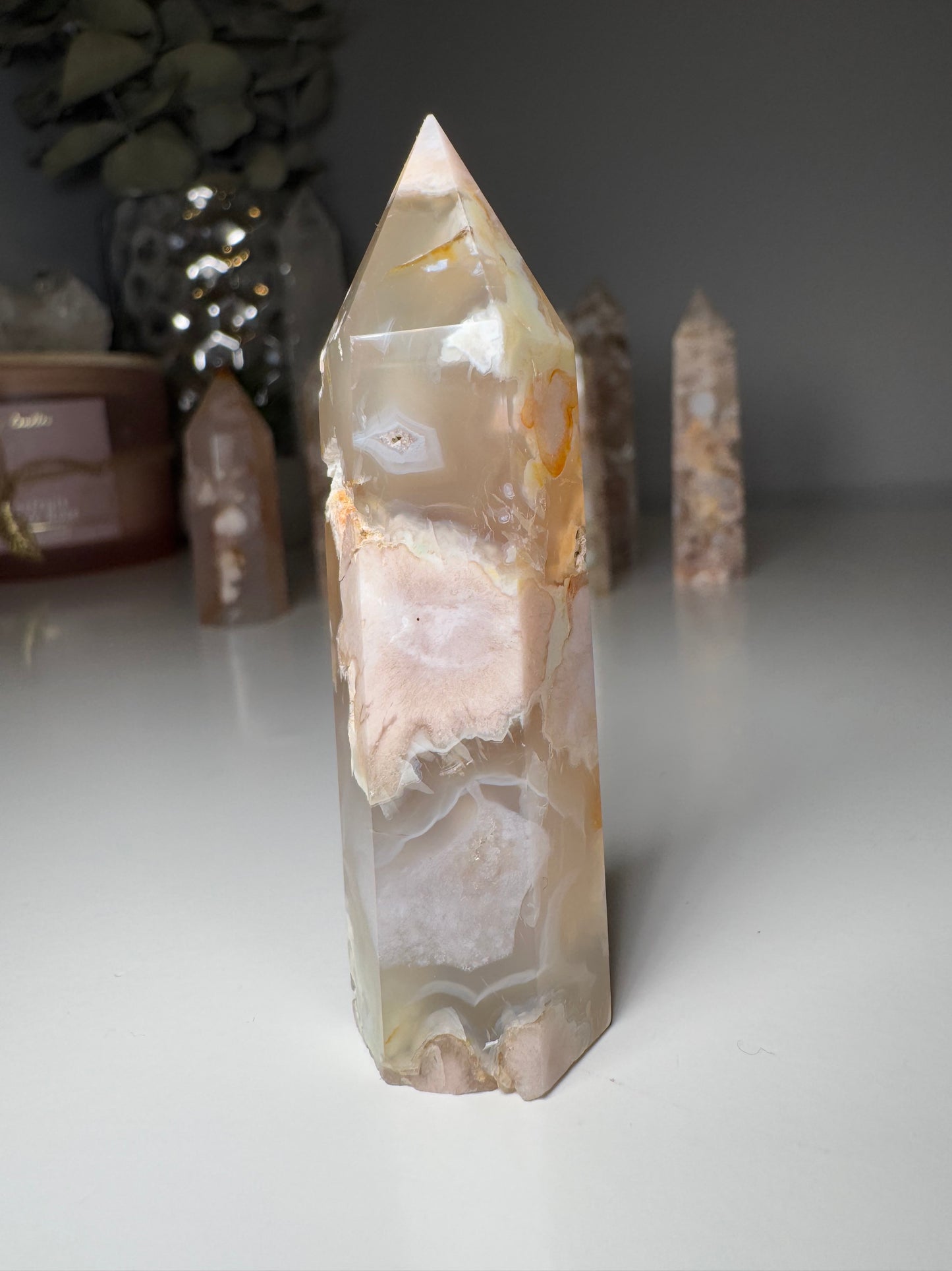 Agate Fleur | Tour