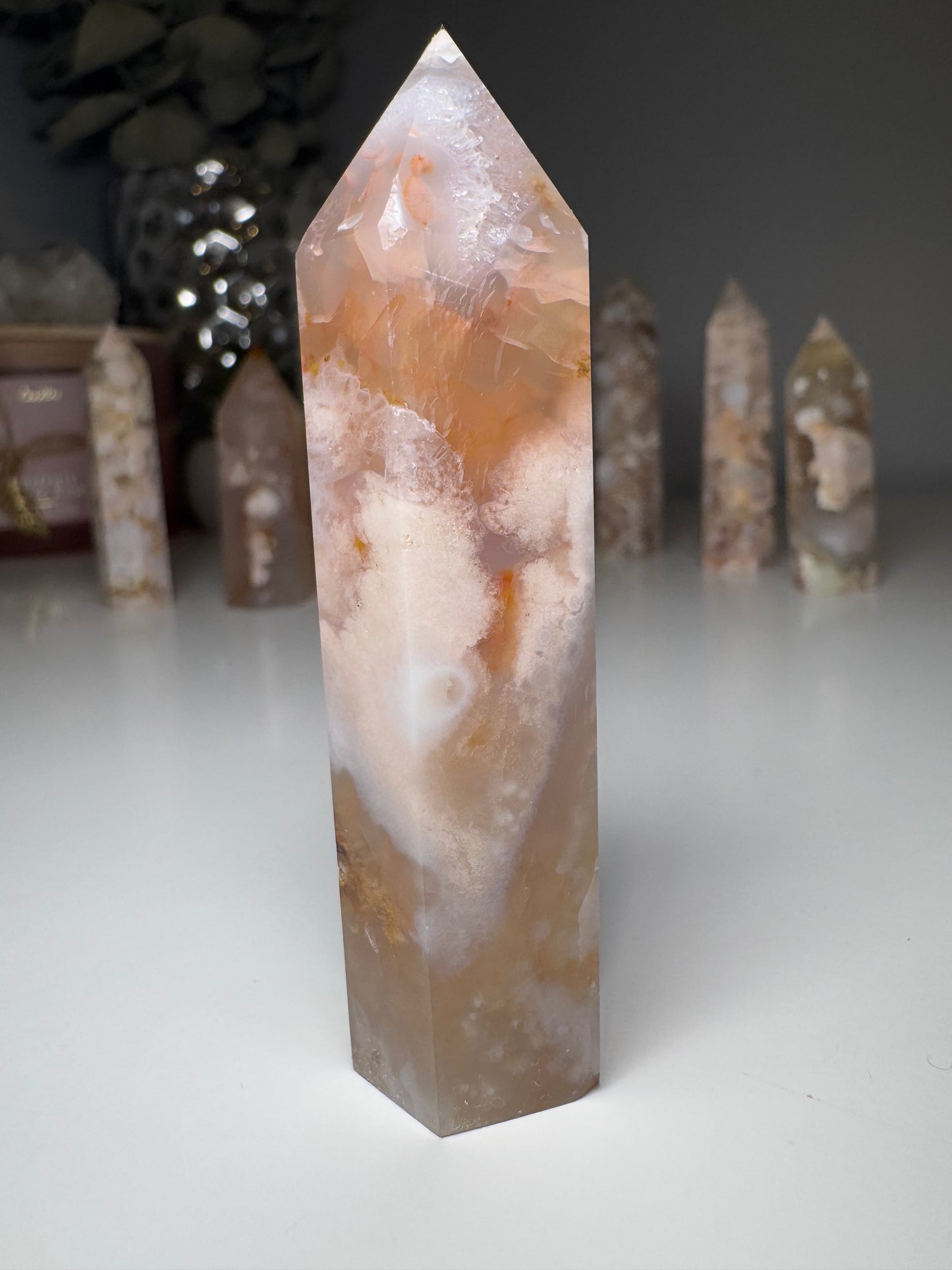 Agate Fleur | Tour