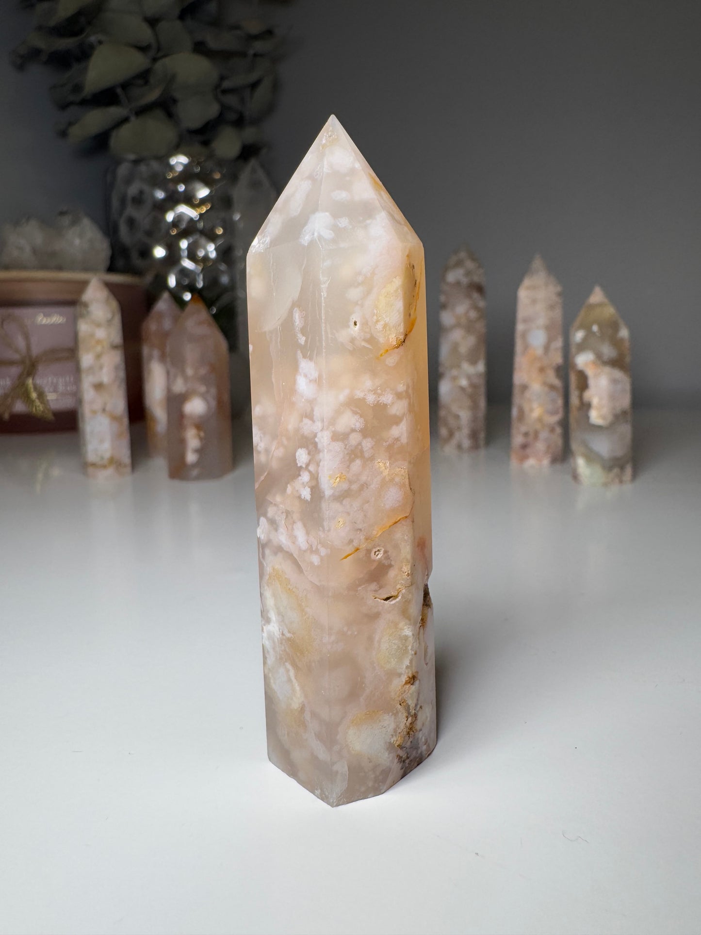 Agate Fleur | Tour