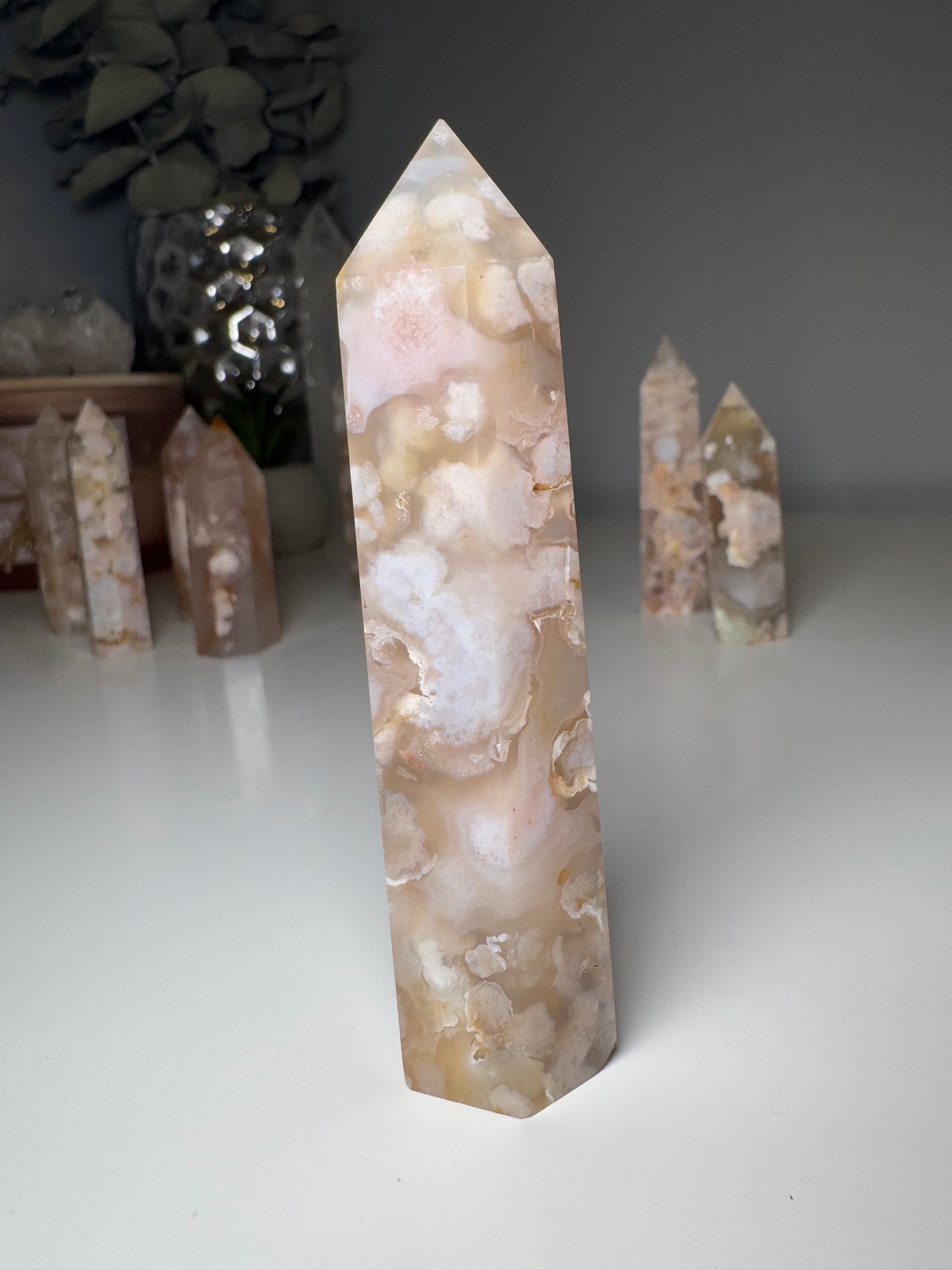 Agate Fleur | Tour