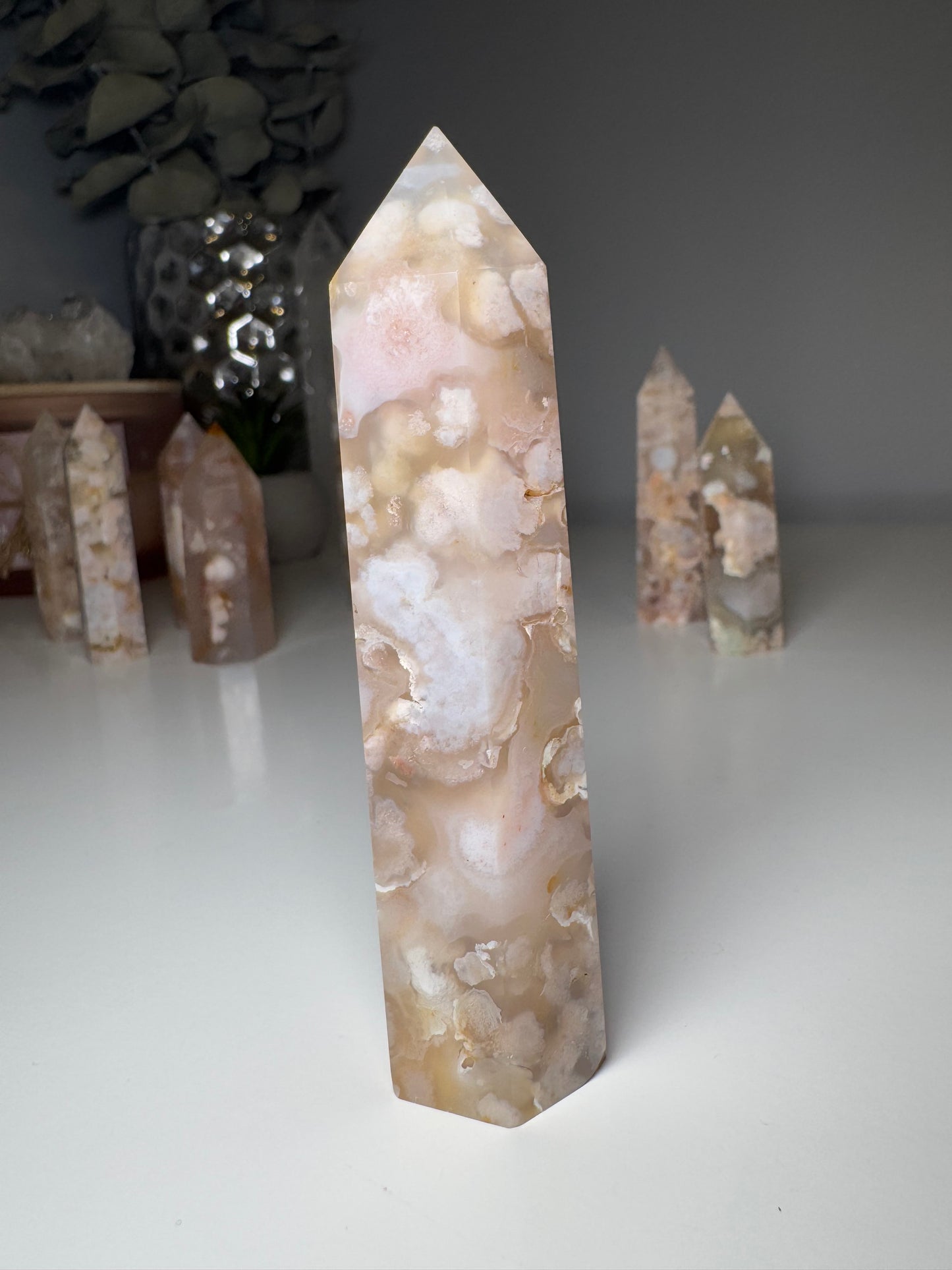Agate Fleur | Tour