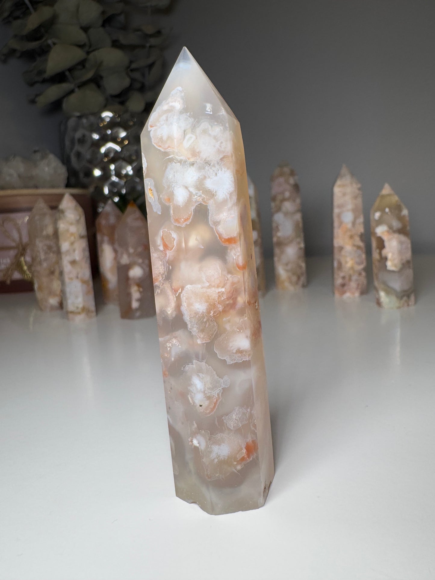 Agate Fleur | Tour