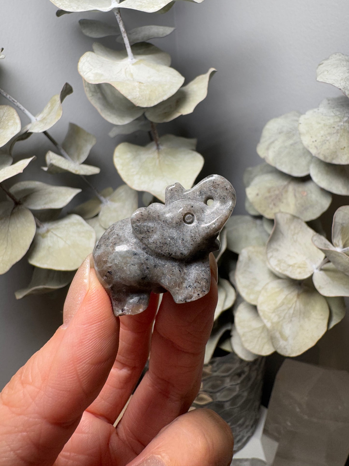 Éléphant