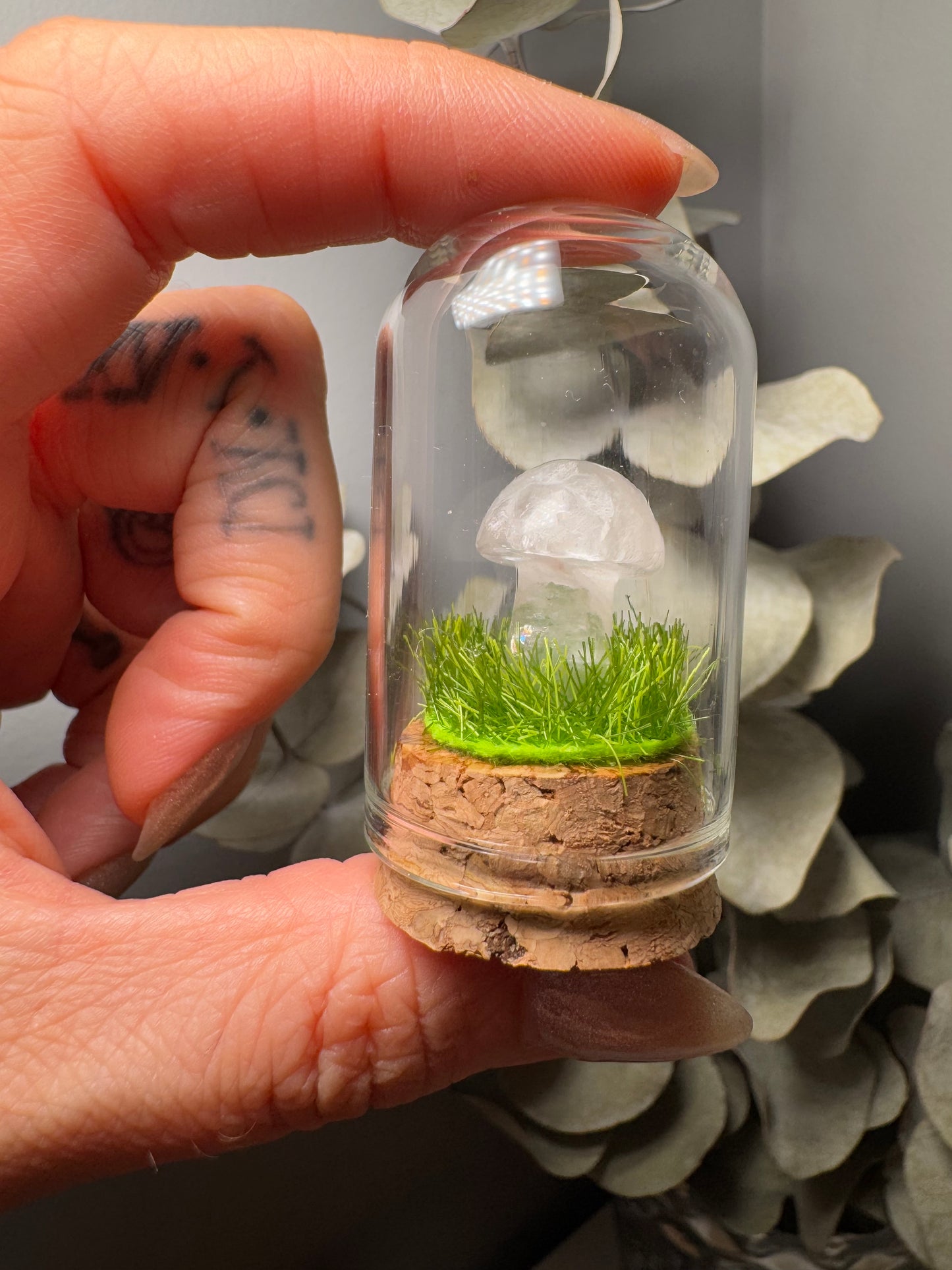 Terrarium Champignon