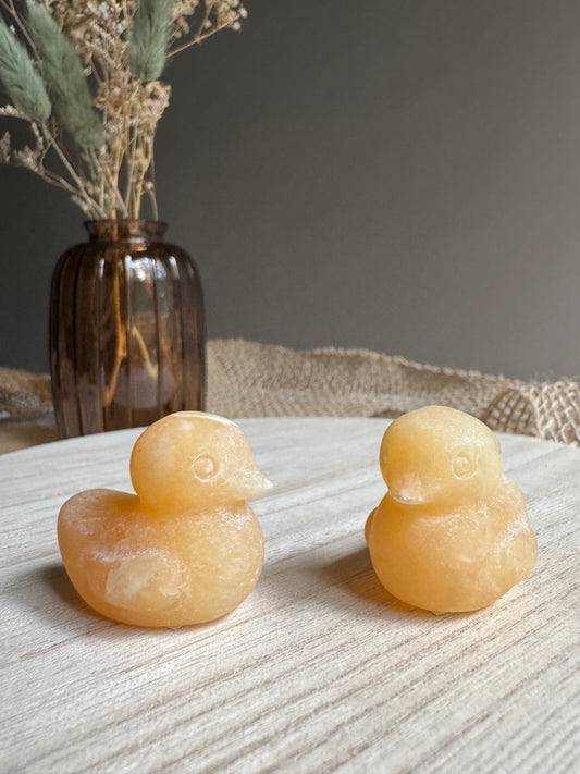 Calcite Jaune | Canard