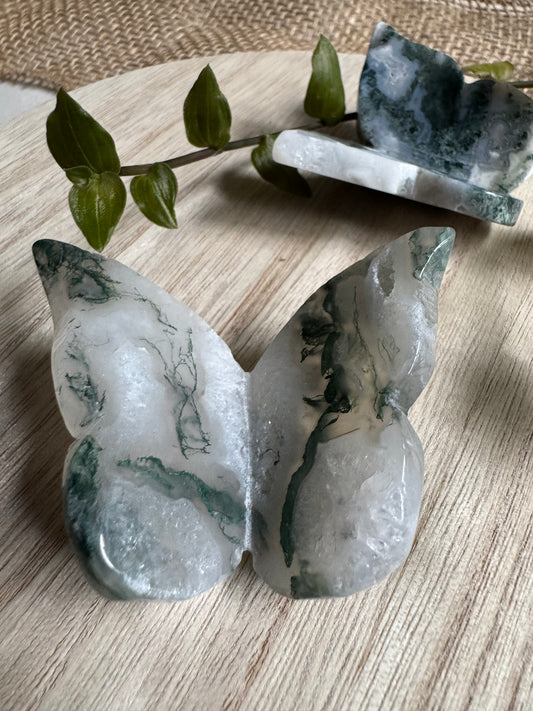 Agate Mousse | Papillon