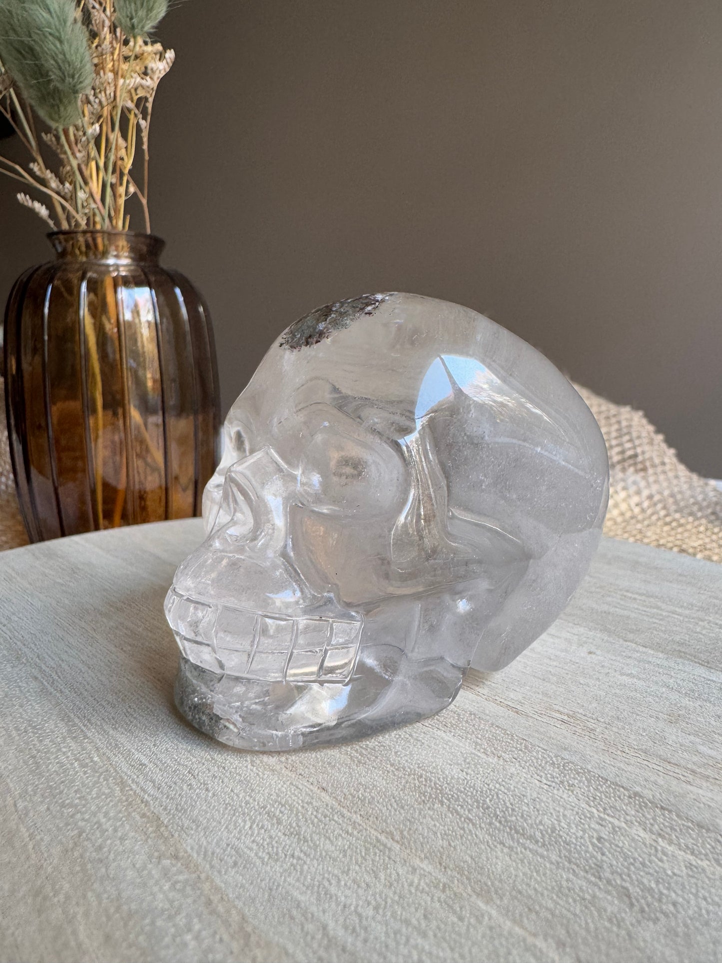 Quartz Jardin (Lodolite) - Crâne