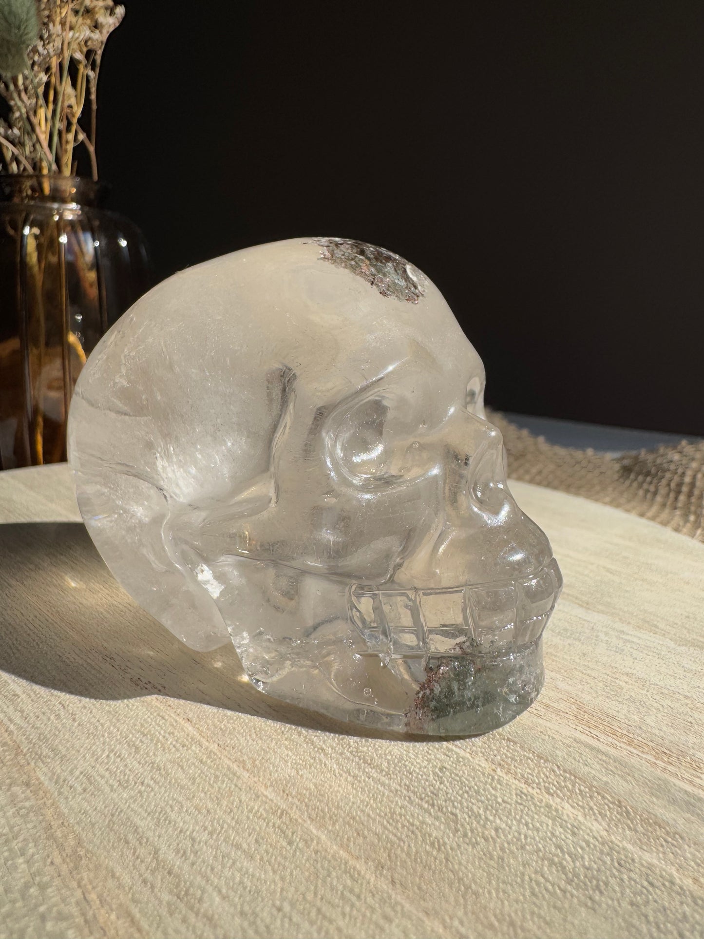 Quartz Jardin (Lodolite) - Crâne