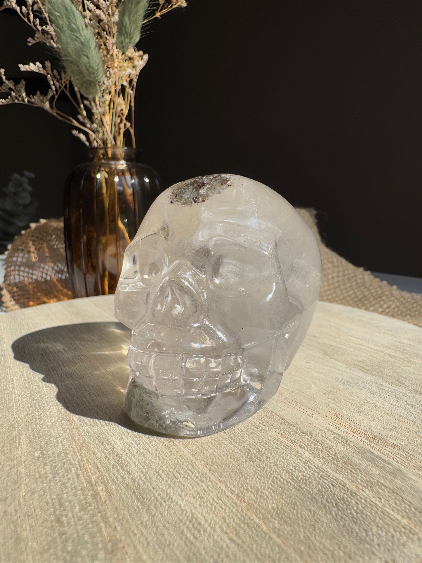 Quartz Jardin (Lodolite) - Crâne