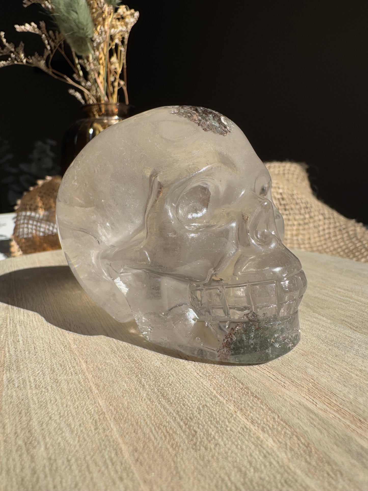 Quartz Jardin (Lodolite) - Crâne