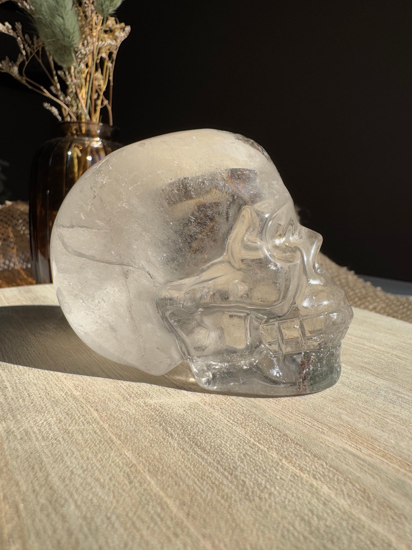 Quartz Jardin (Lodolite) - Crâne