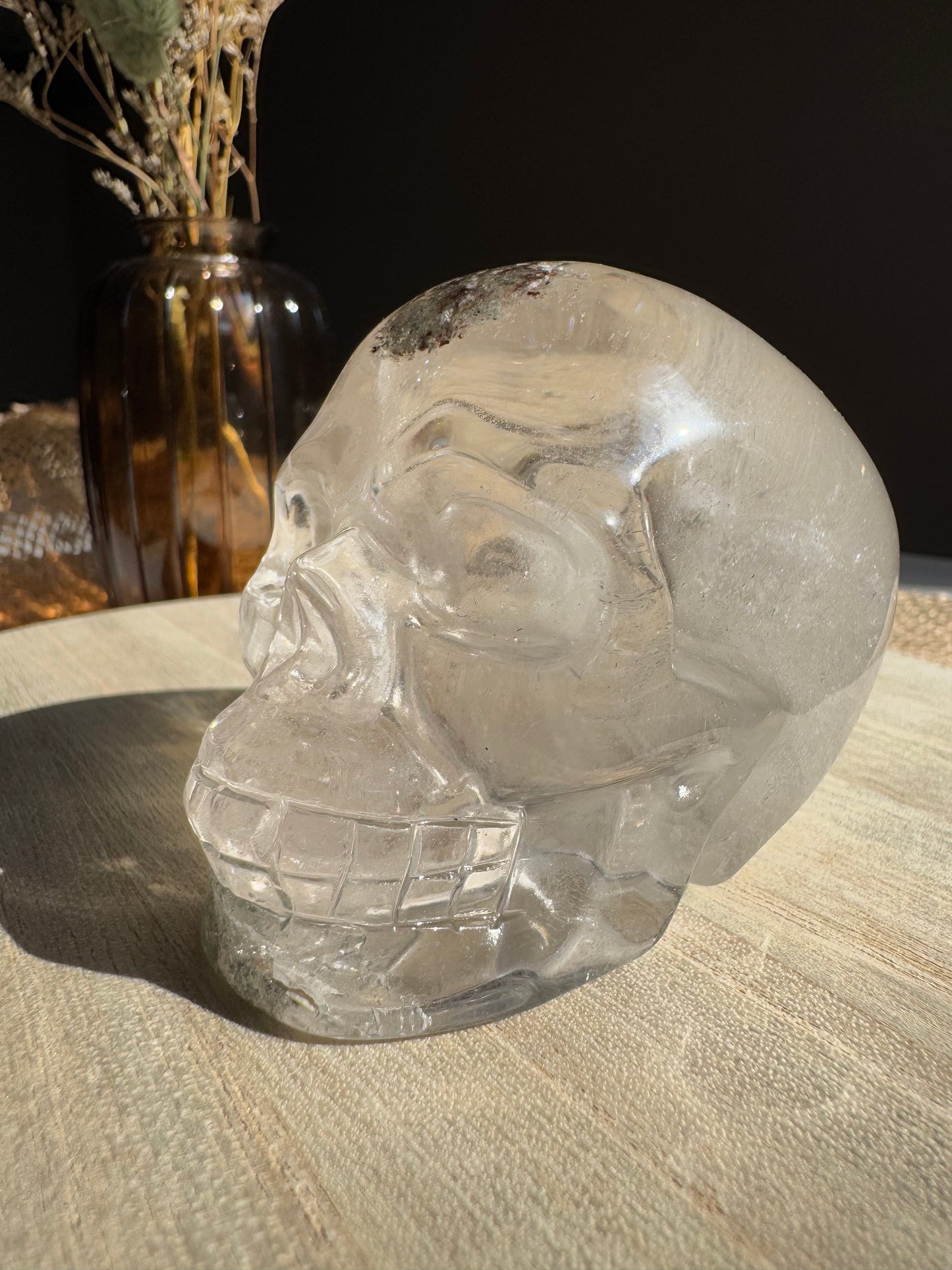 Quartz Jardin (Lodolite) - Crâne