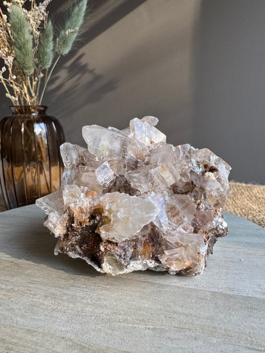 Sélénite - Spécimen