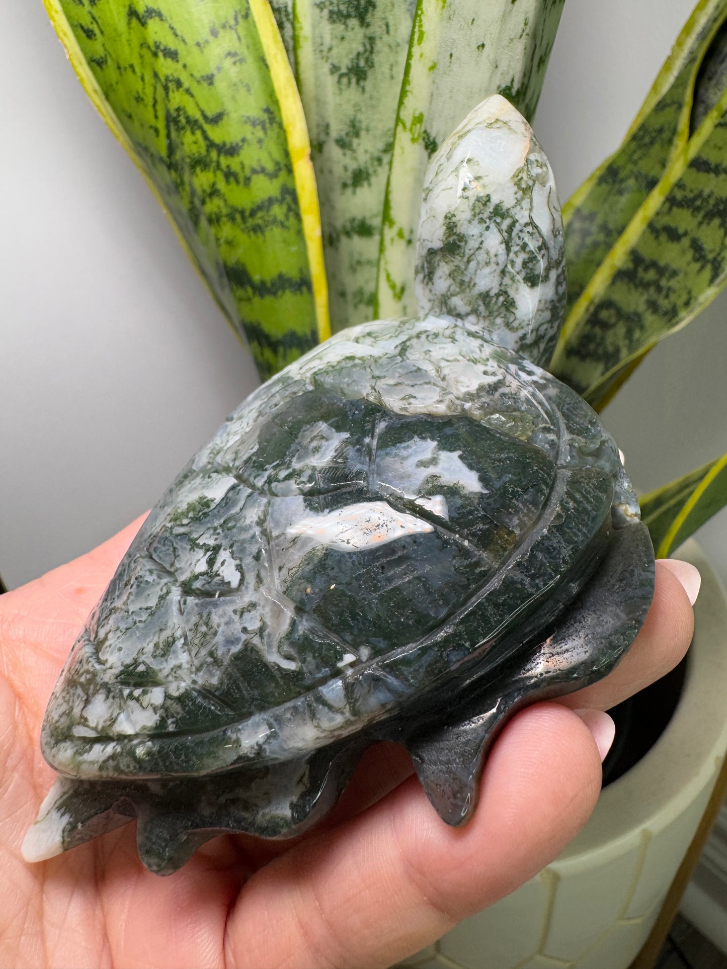 Moss Agate | Turtle