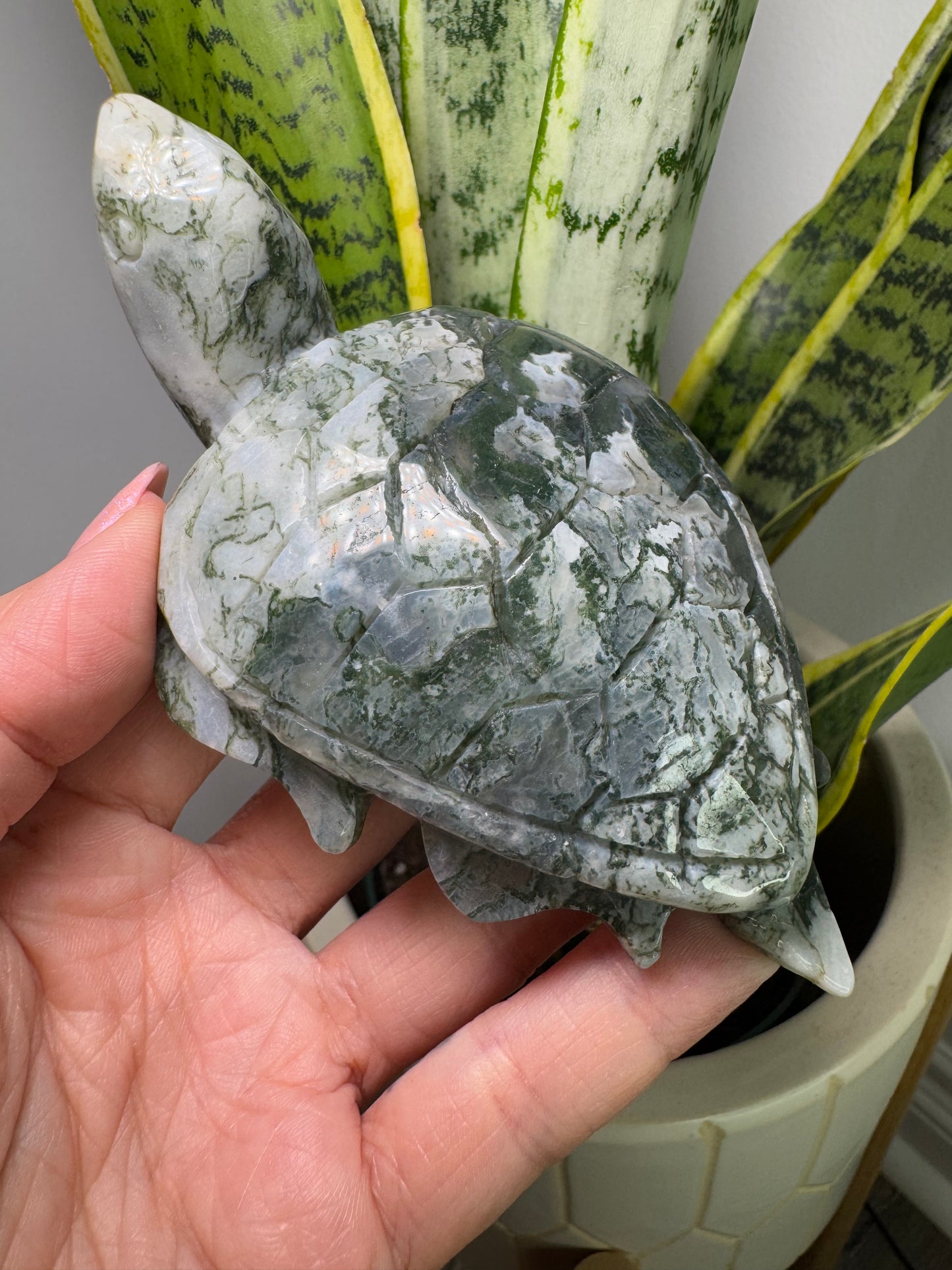 Moss Agate | Turtle