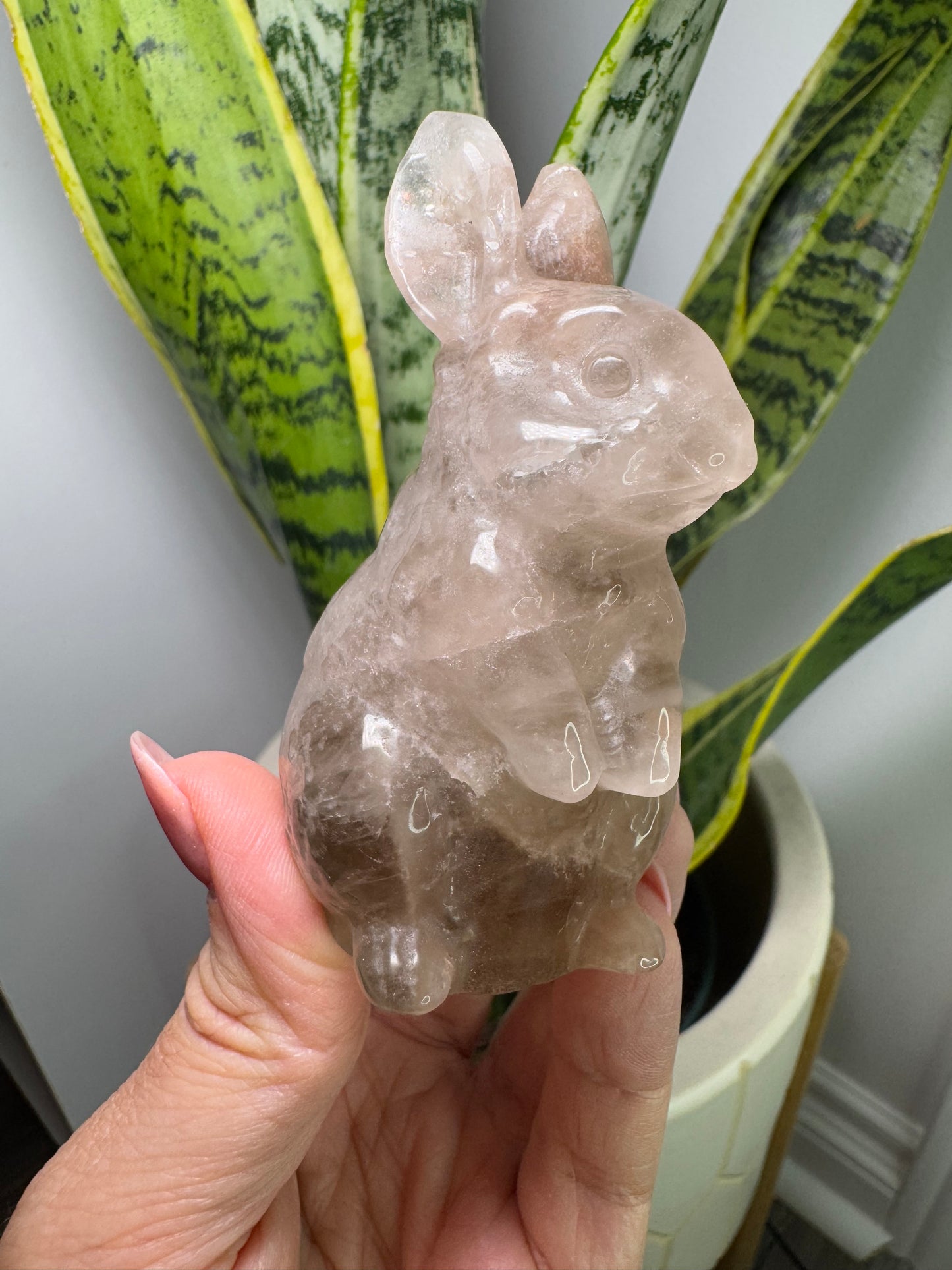 Smoky Quartz | Rabbit