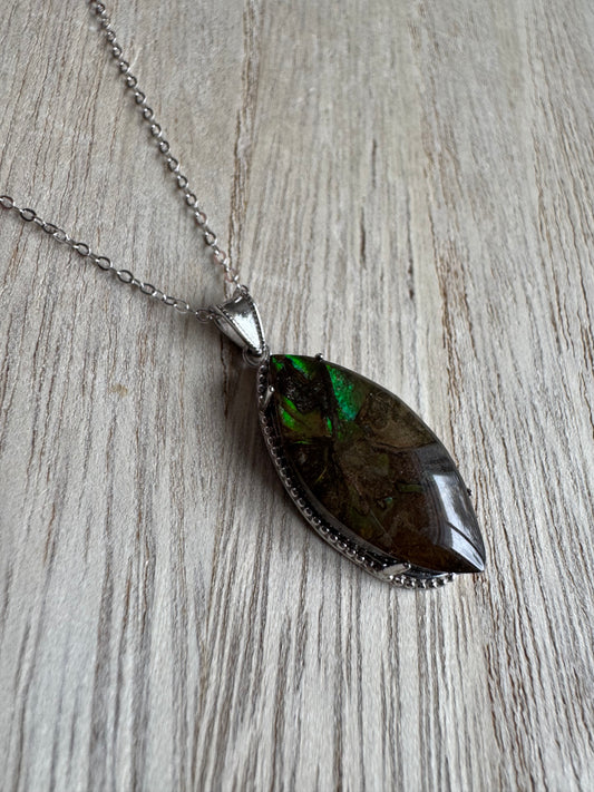 Ammonite - Pendentif + Chaine