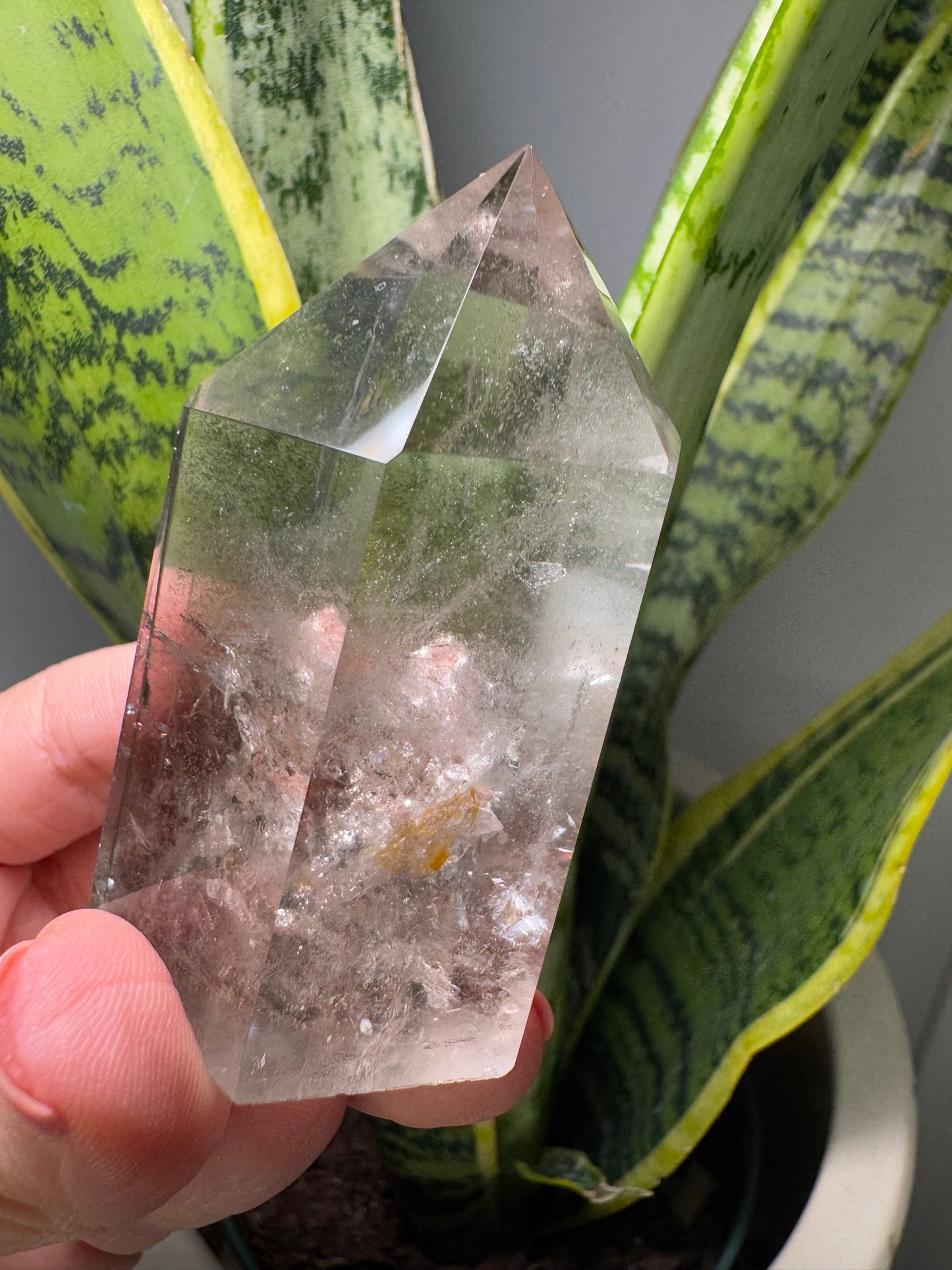 Garden Quartz | Tip