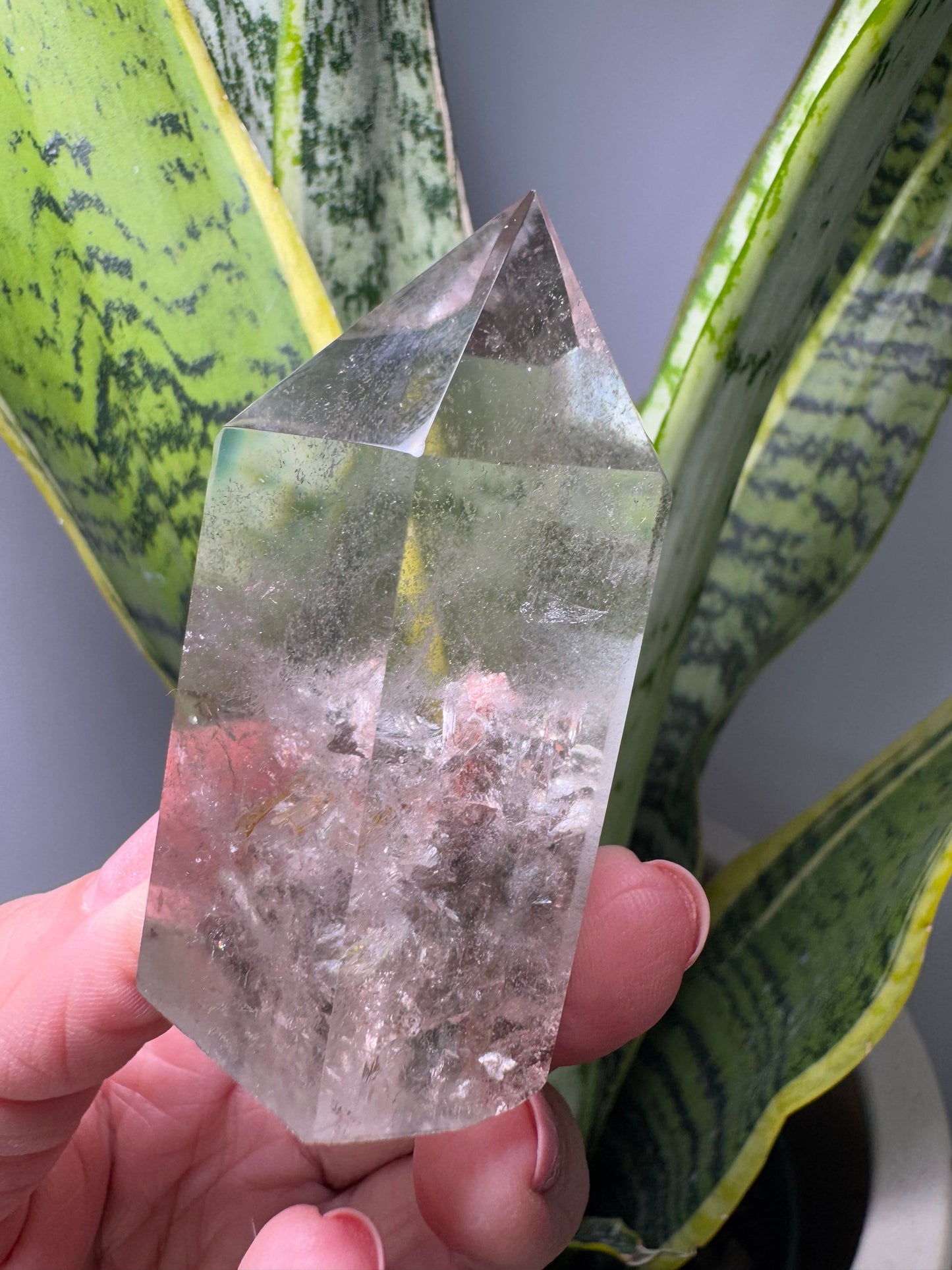 Garden Quartz | Tip