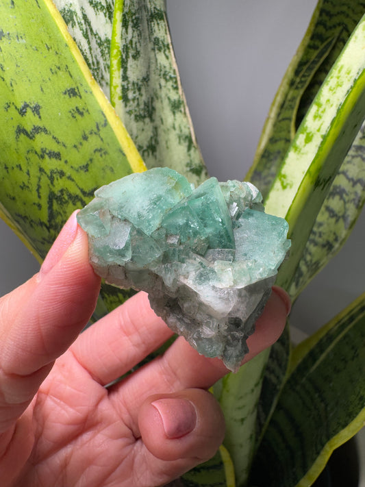 Fluorite verte | Spécimen