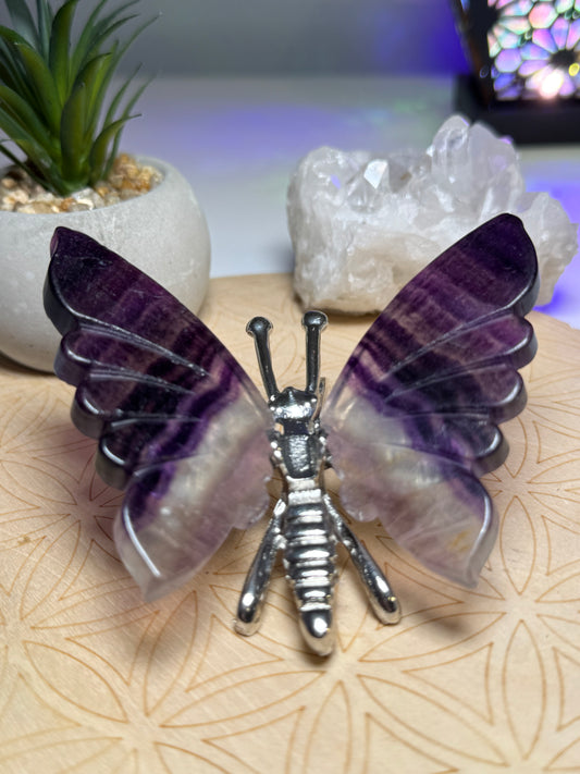 Fluorite | Papillon