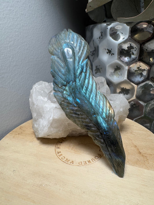 Labradorite | Plume