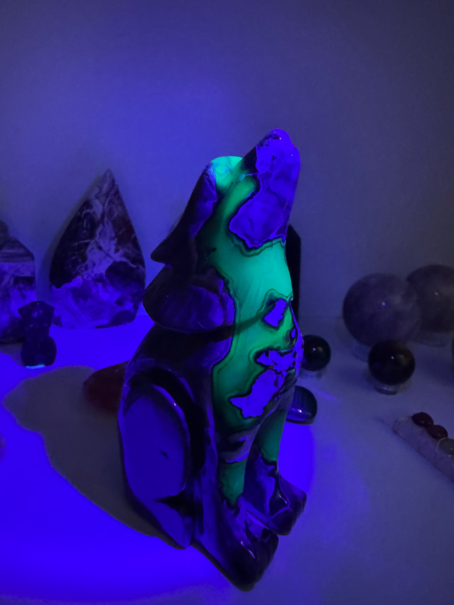 Agate Volcanique - Loup