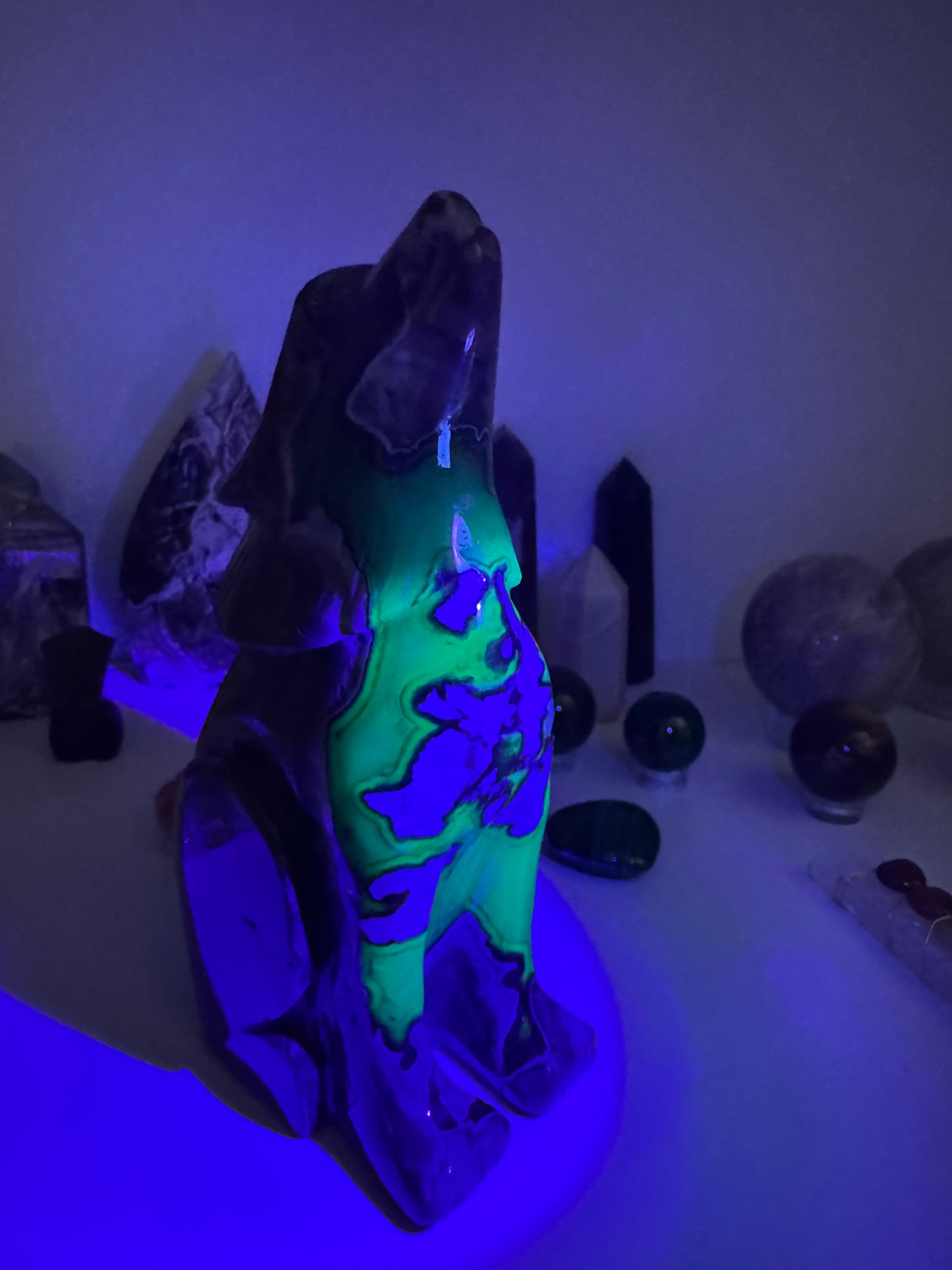 Agate Volcanique - Loup