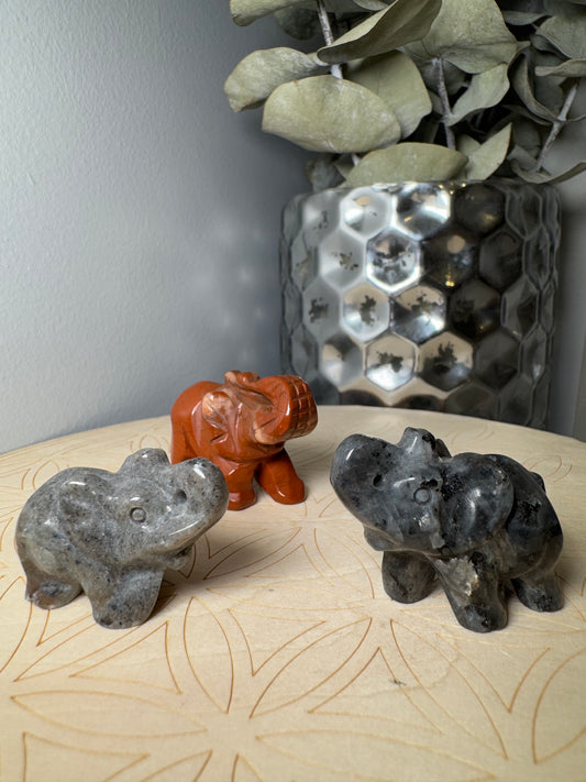 Éléphant