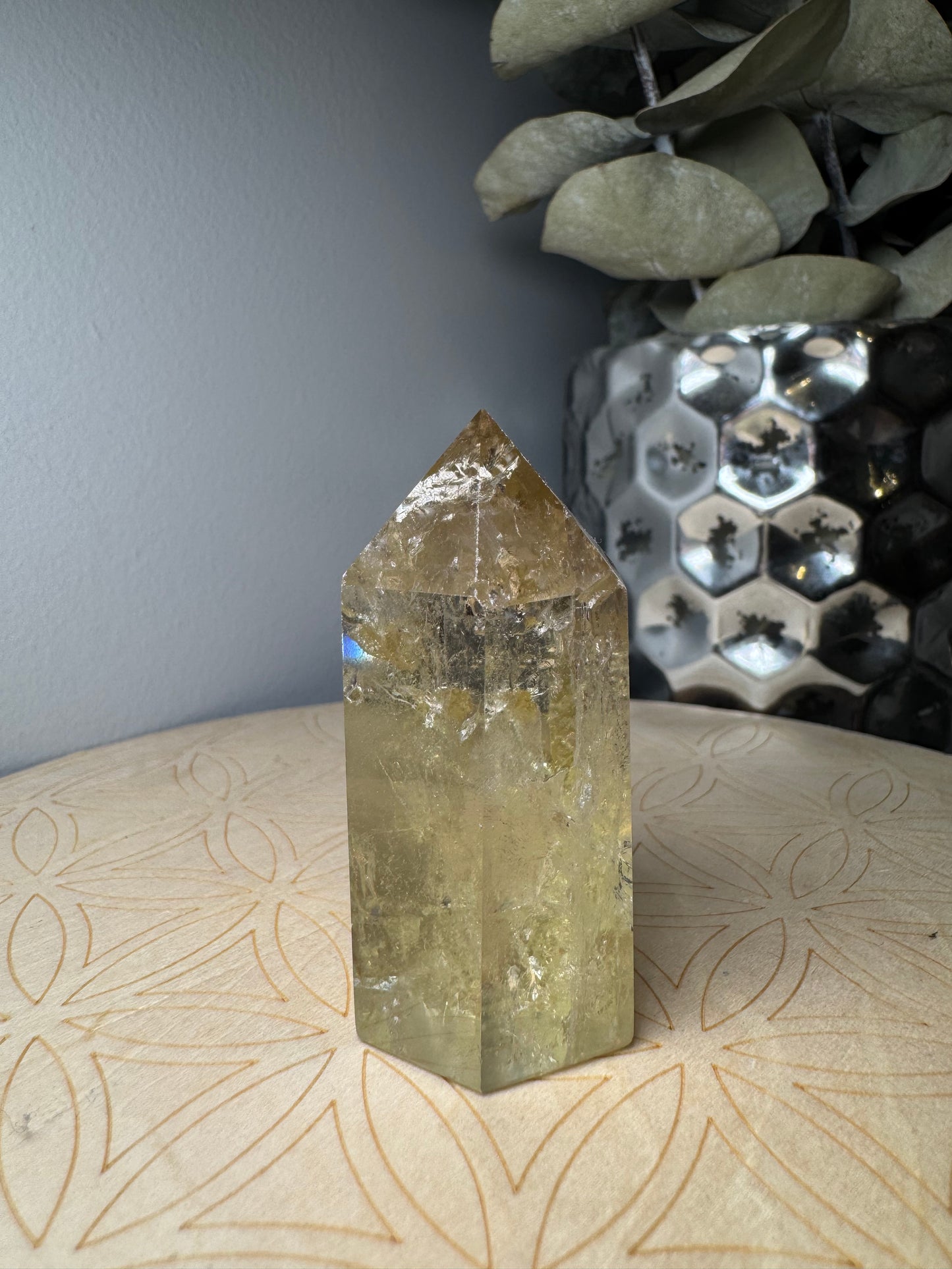 Citrine | Tour